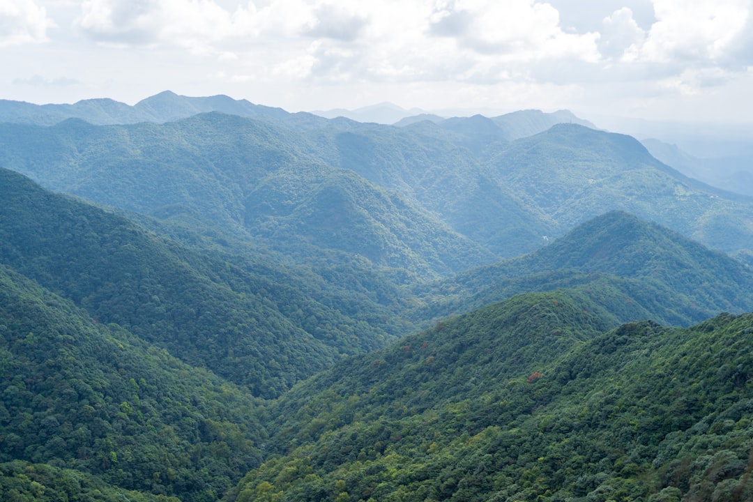 a landscape with trees and hills with Blue Mountains in the background