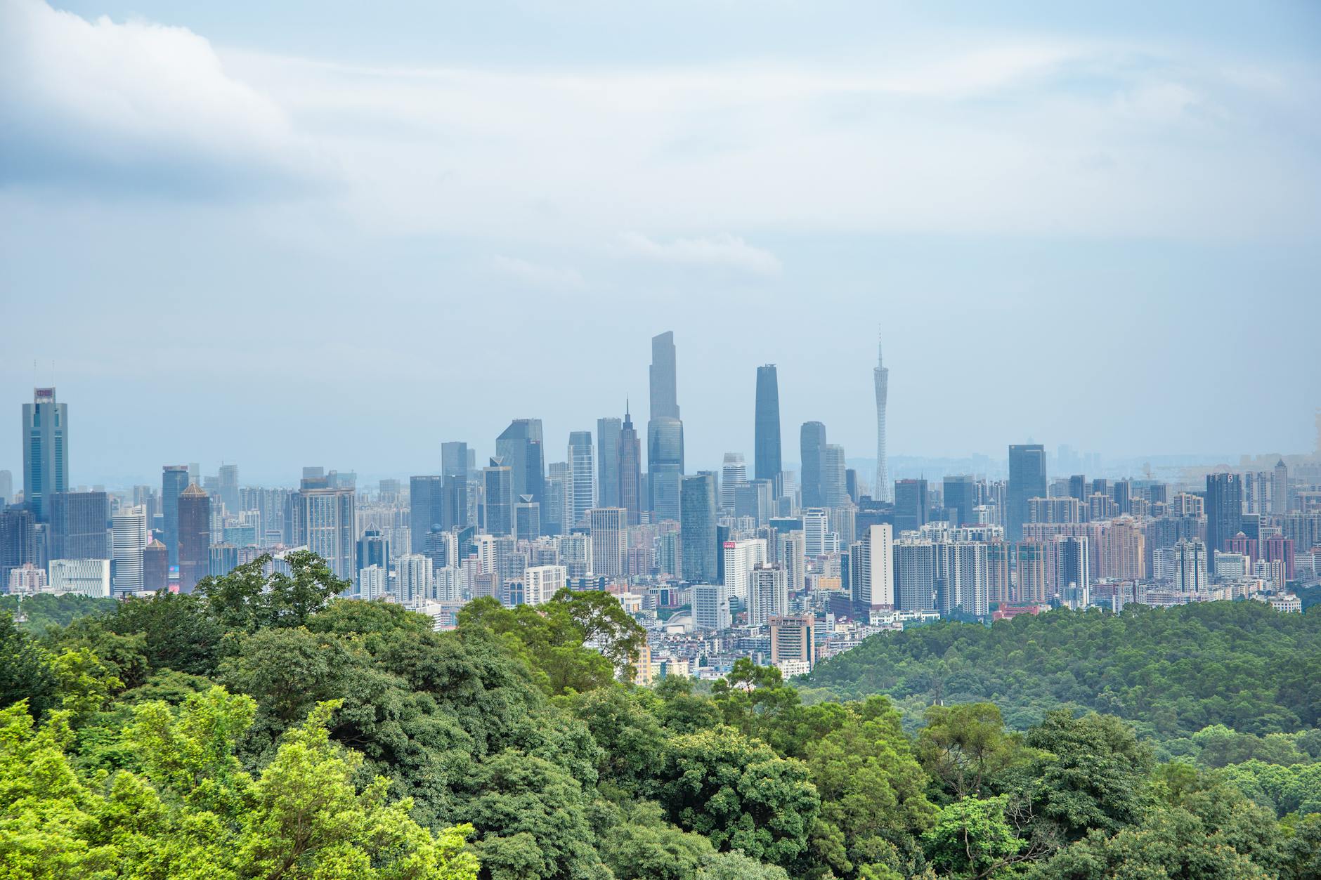 A breathtaking aerial view of a modern city skyline bordered by a lush urban forest on a clear day.