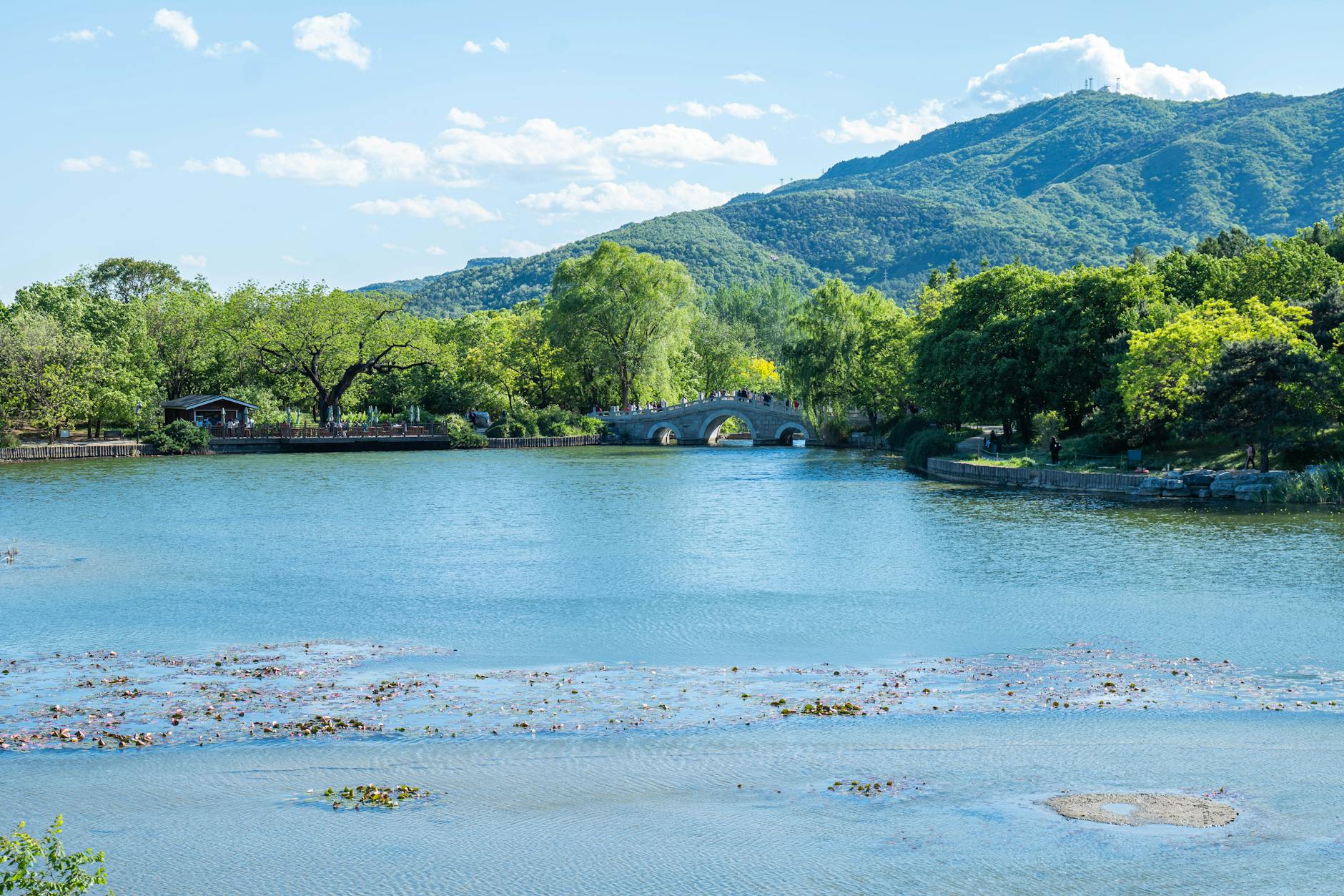 A serene lake surrounded by lush greenery and mountains, featuring a picturesque stone bridge under clear blue skies.