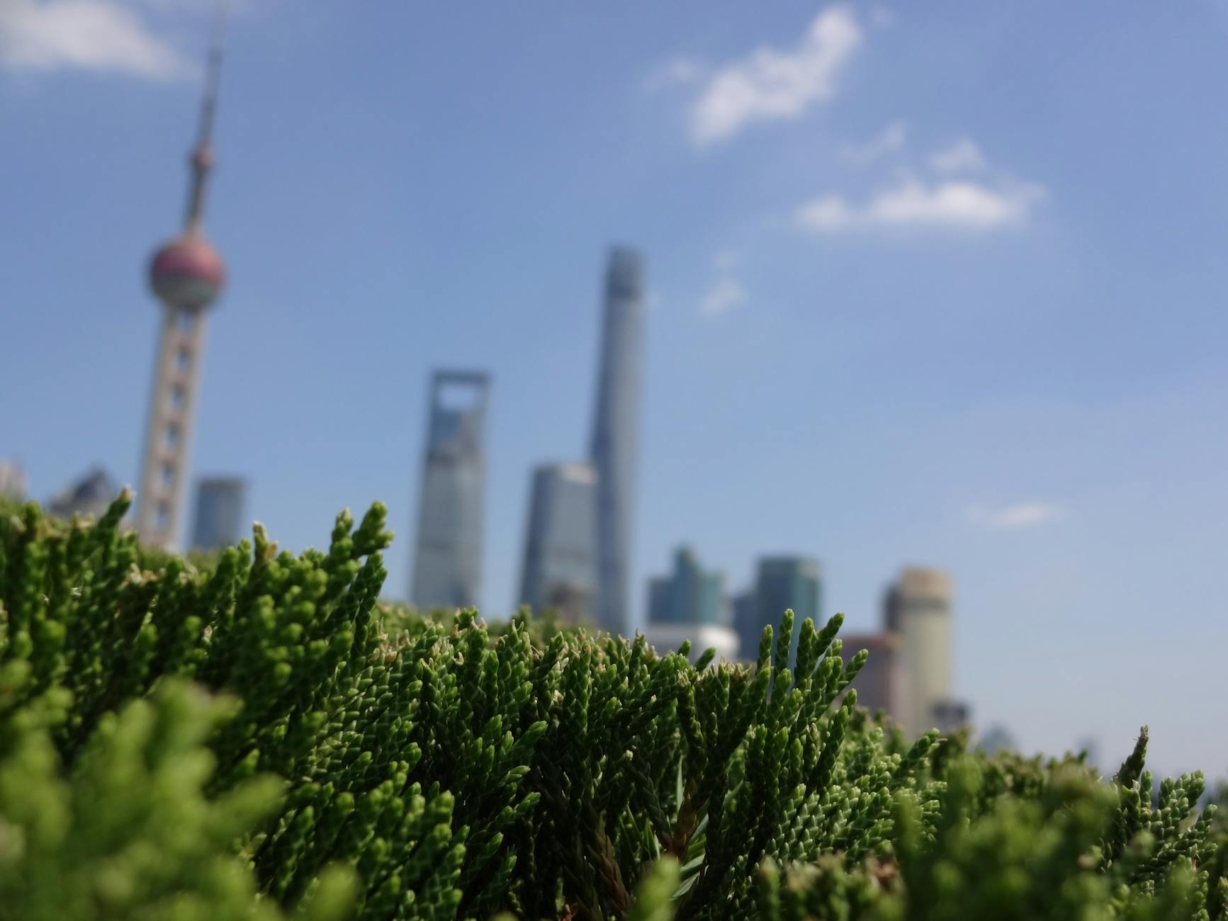 Blurred view of Shanghai's skyline with lush greenery in the foreground and iconic buildings in the background.