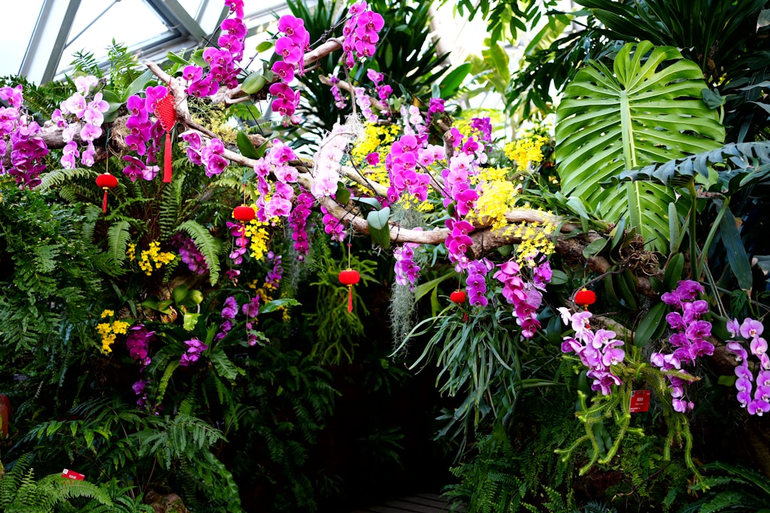 A bunch of plants that are in a room