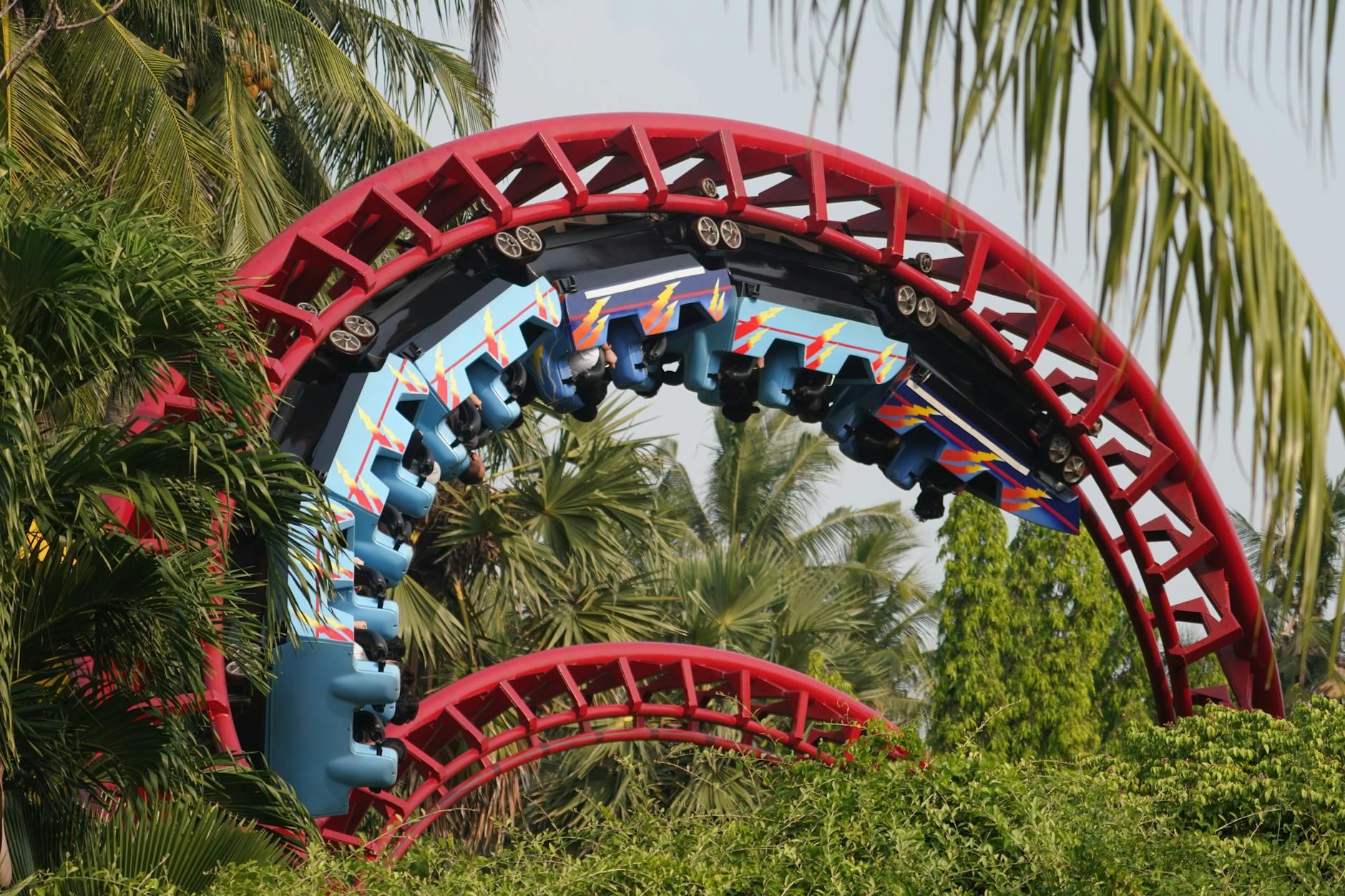Exciting view of a roller coaster looping amidst lush tropical plants and palm trees.