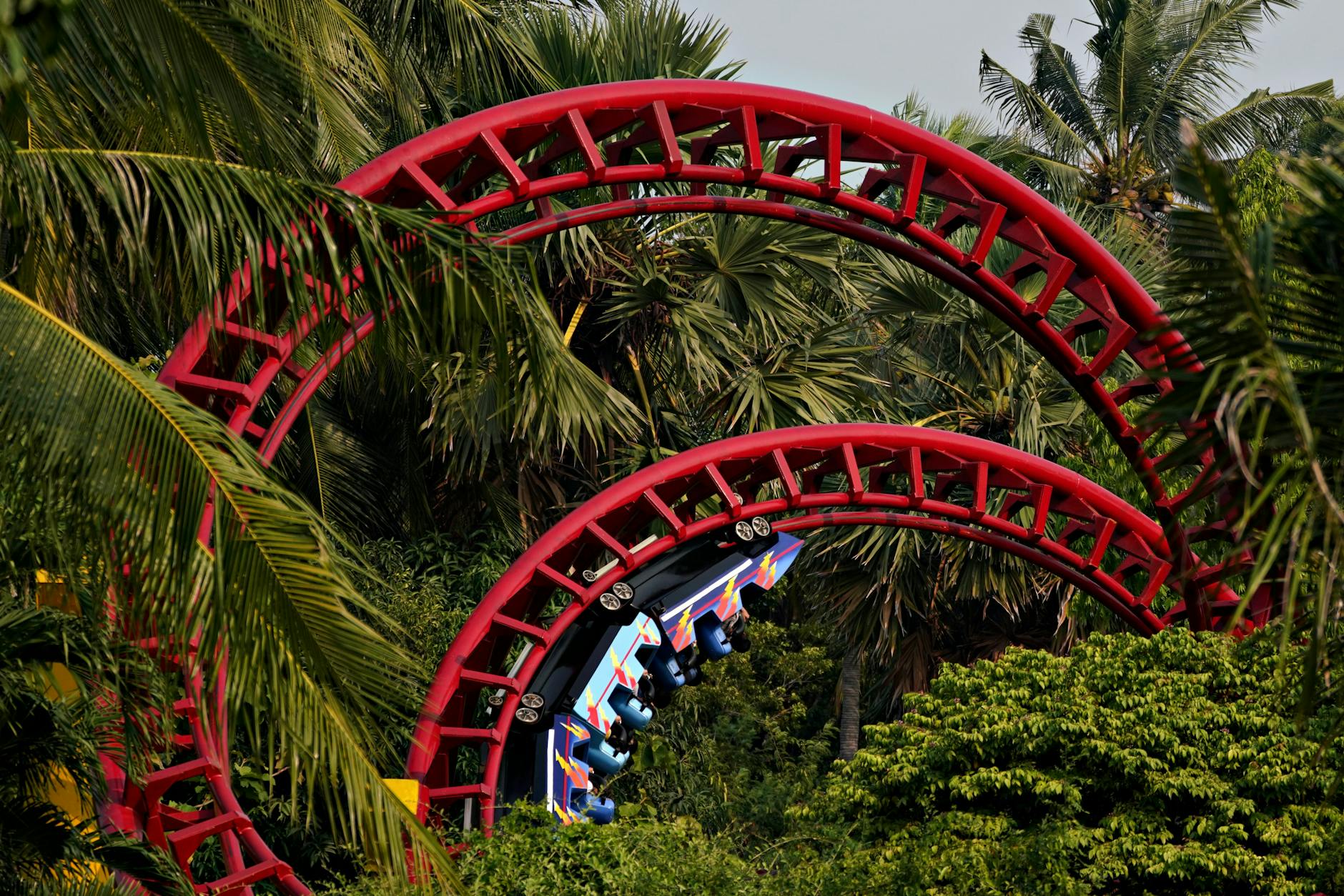 Colorful roller coaster loops through lush palm trees on a sunny day.