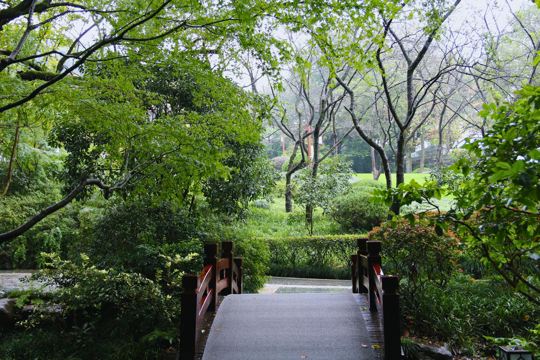 Peaceful pathway surrounded by vibrant greenery in a tranquil garden setting of Hangzhou, China.