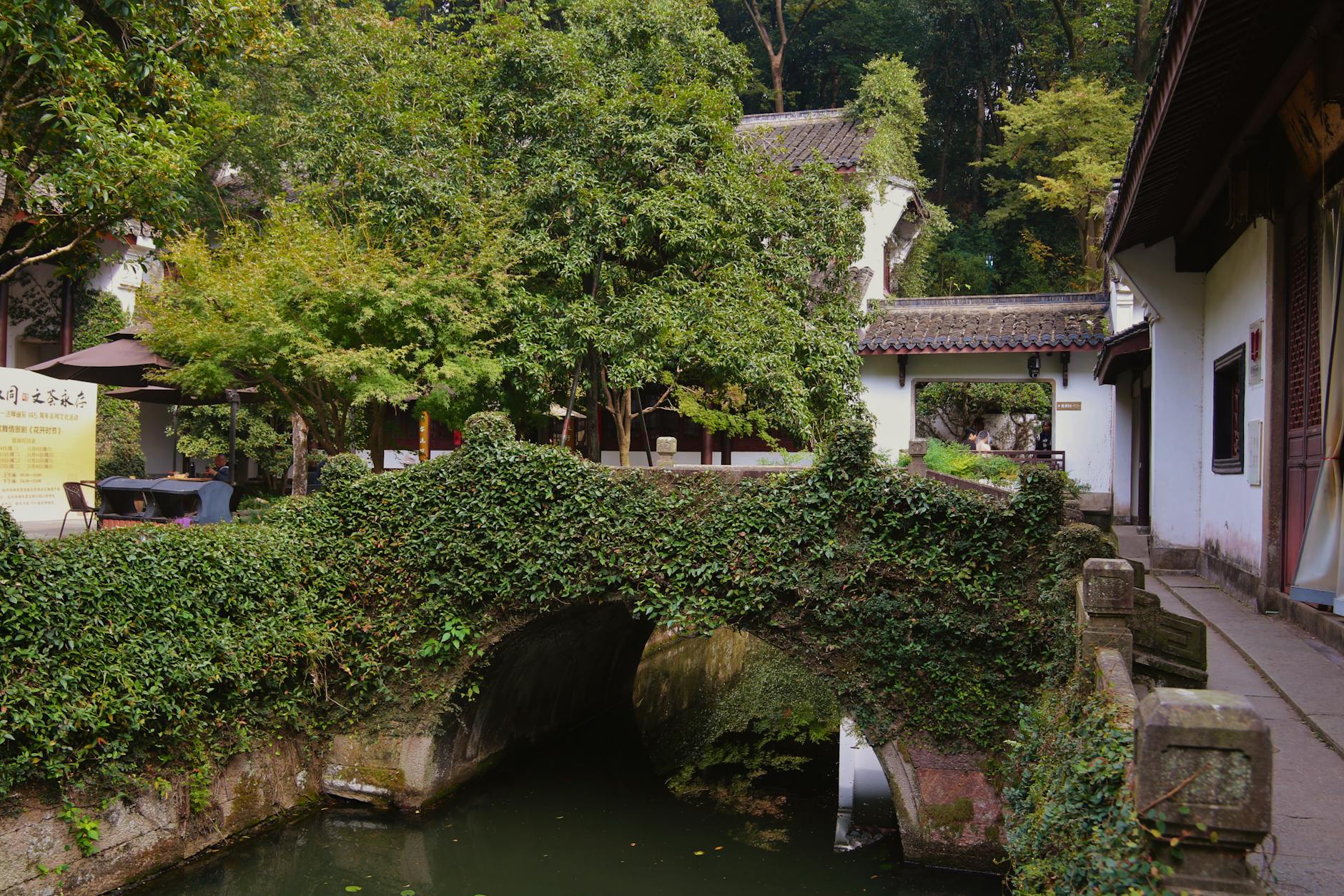 A serene view of ivy-covered bridges and traditional architecture in Hupao Park, Hangzhou.