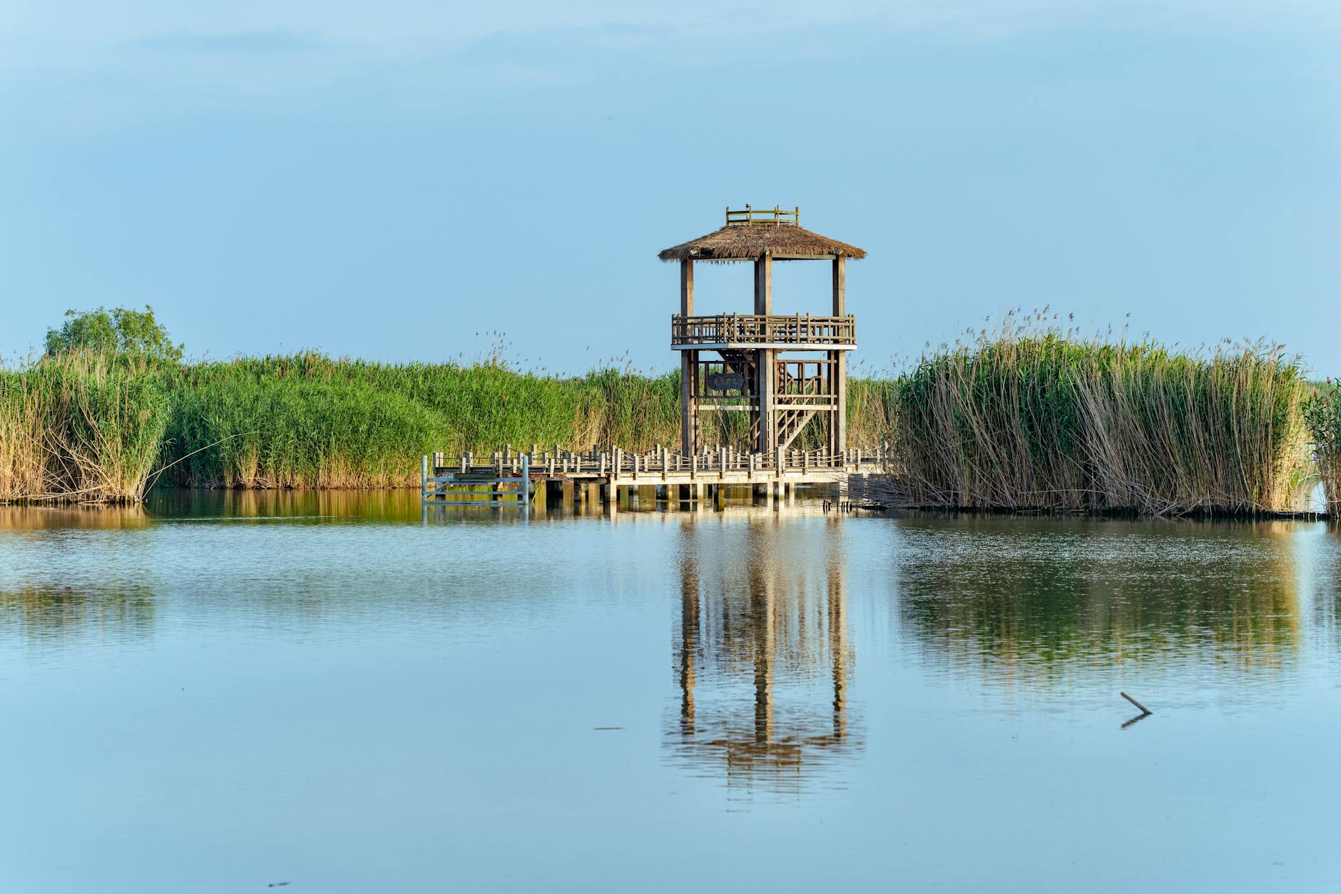 A tranquil lakeside scene with a wooden gazebo and lush reeds reflecting on the water.