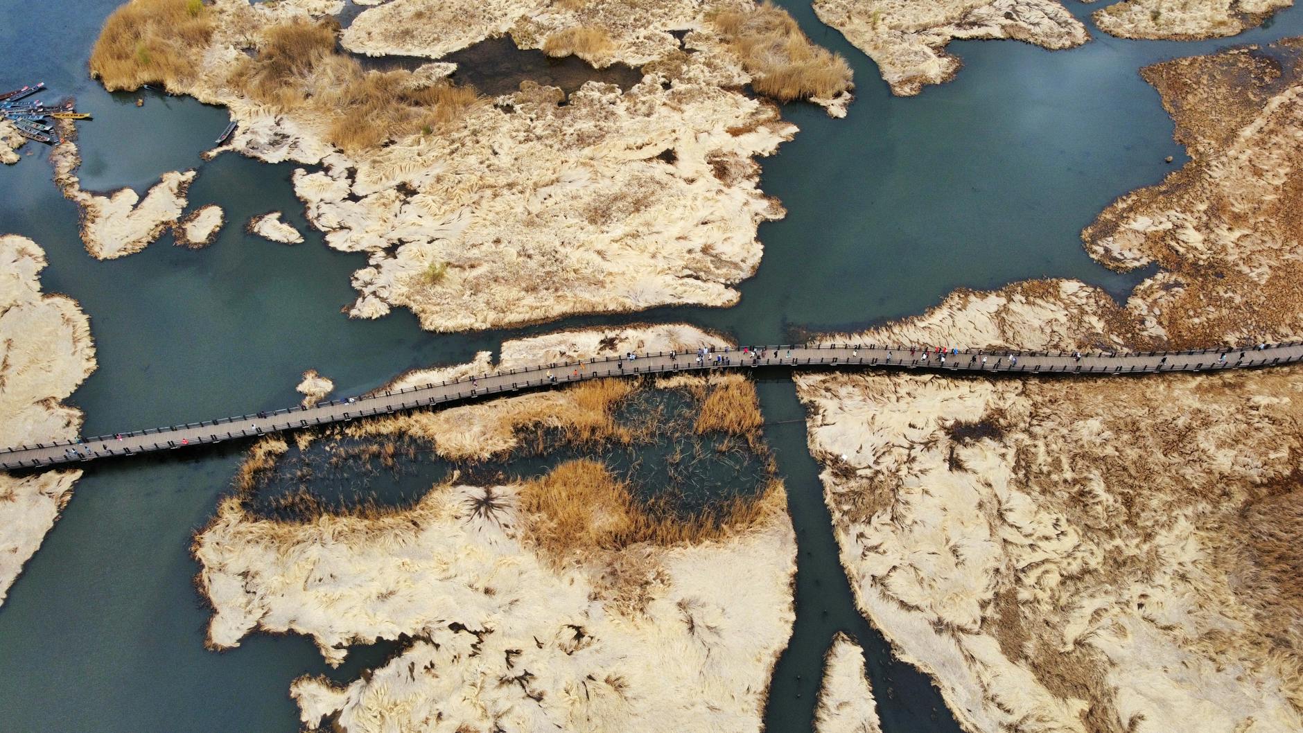 A scenic aerial shot capturing a wooden bridge over a wetland in Yunnan, China.