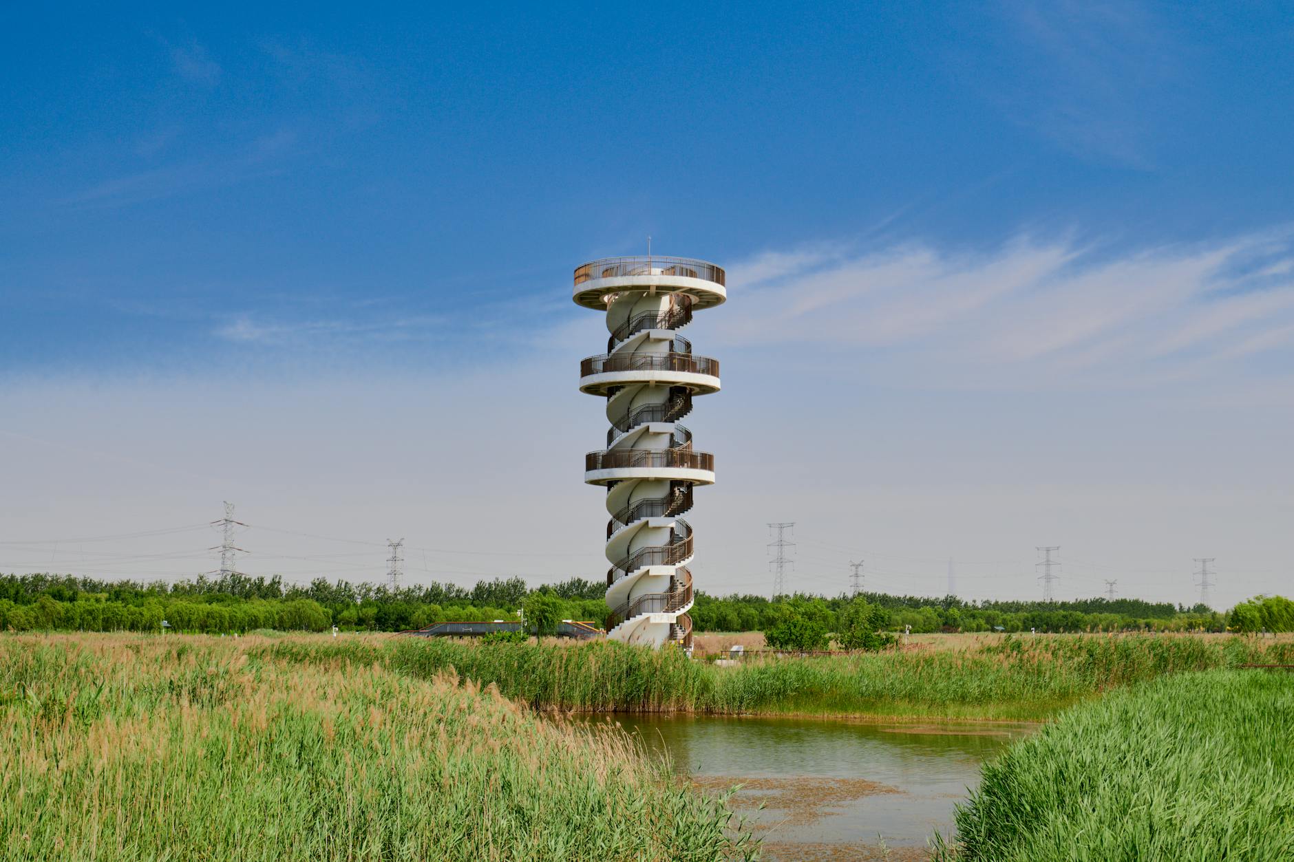 Photo of a spiral observation tower surrounded by lush wetlands and reeds.