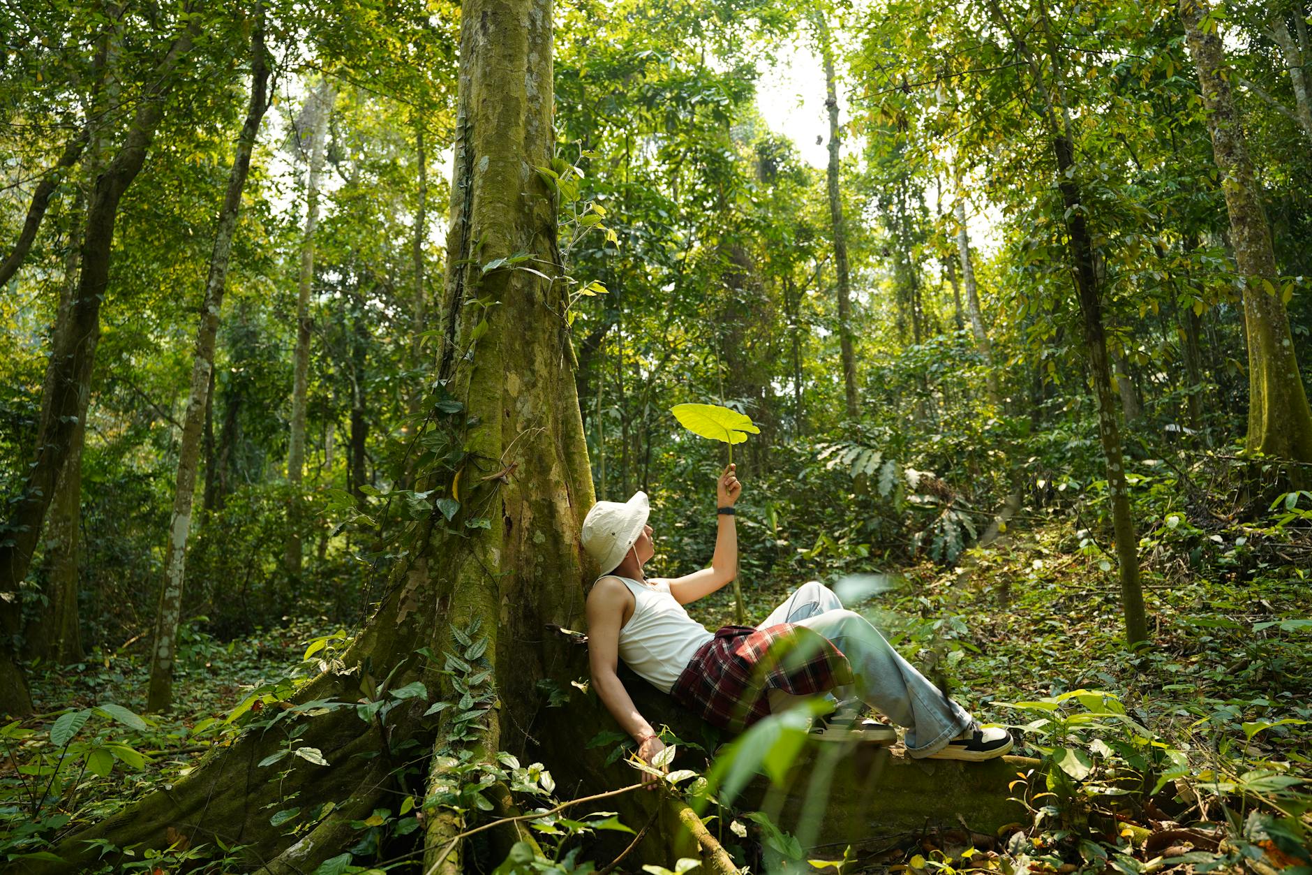 Person relaxing against a tree in Cuc Phuong, Vietnam, surrounded by lush greenery. Vibrant and tranquil scene.