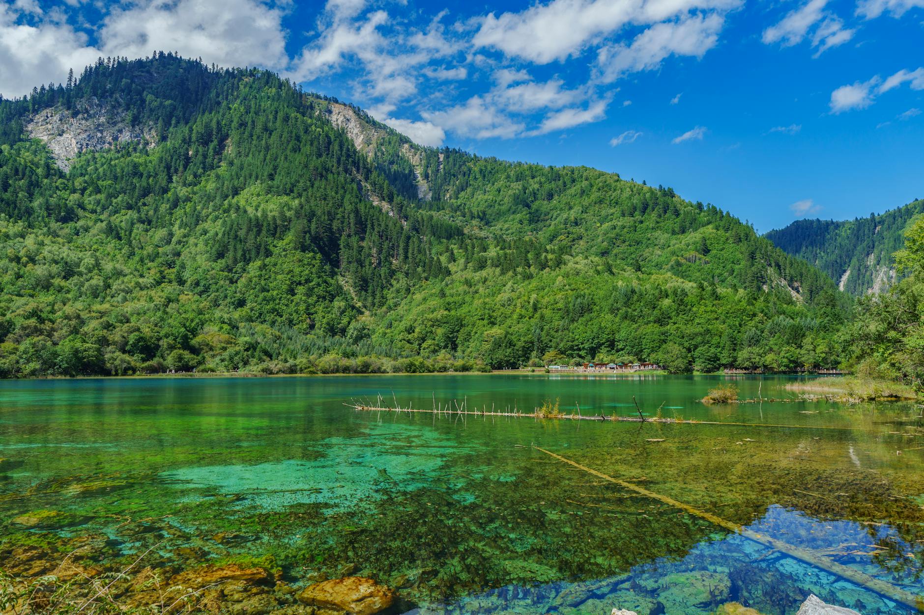 Breathtaking view of Jiuzhaigou Valley's lush mountains and crystal-clear lake.