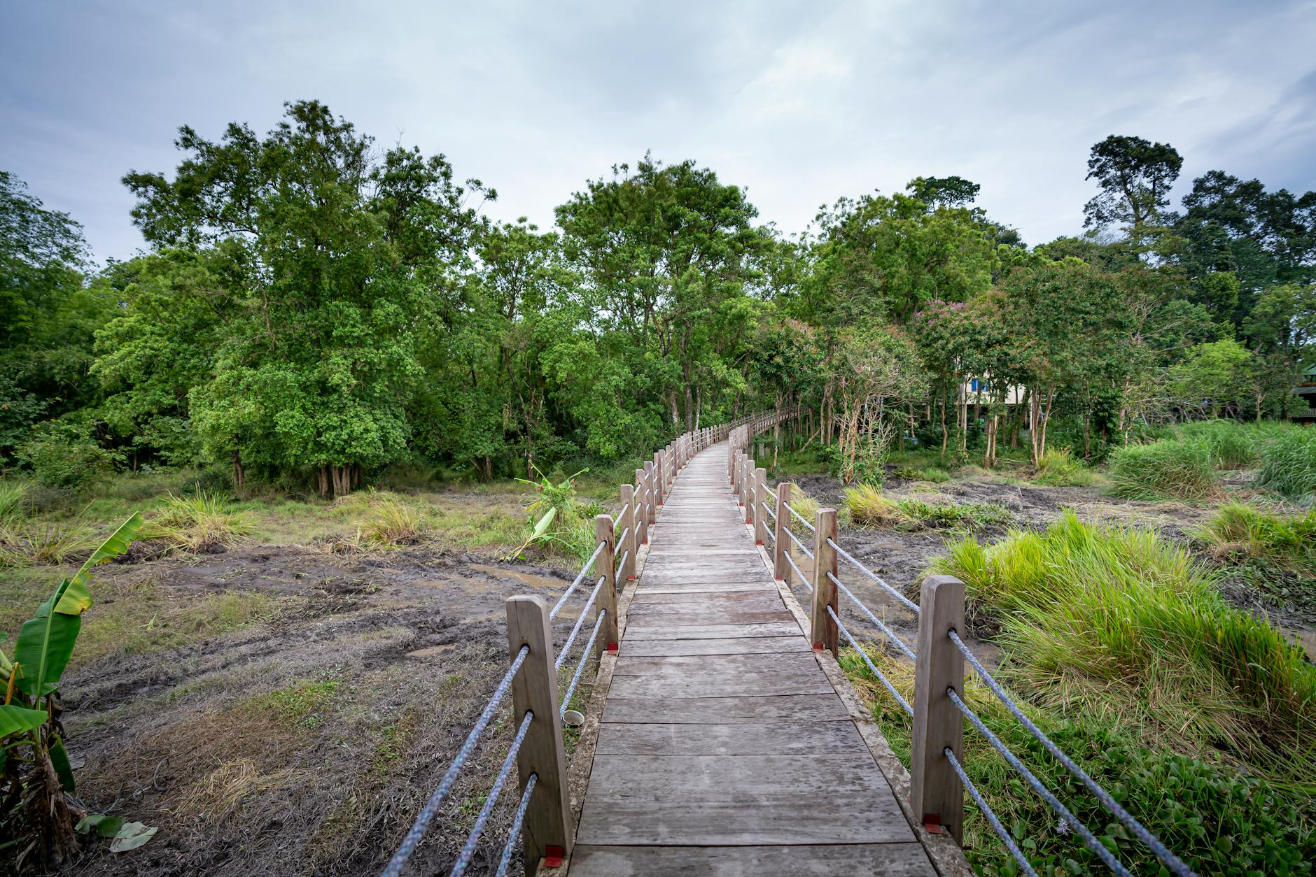 Narrow footbridge with railings between green bushes and lush trees with foliage growing in national park in forest in summer time