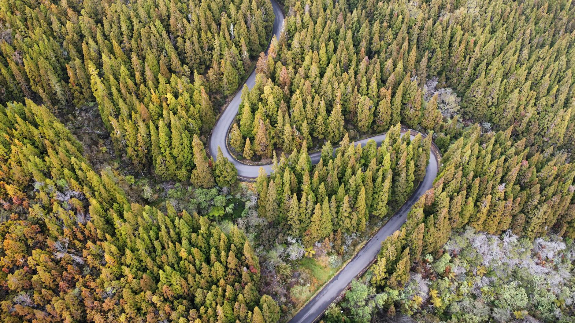 Stunning aerial shot of a winding road through a dense forest in La Réunion.