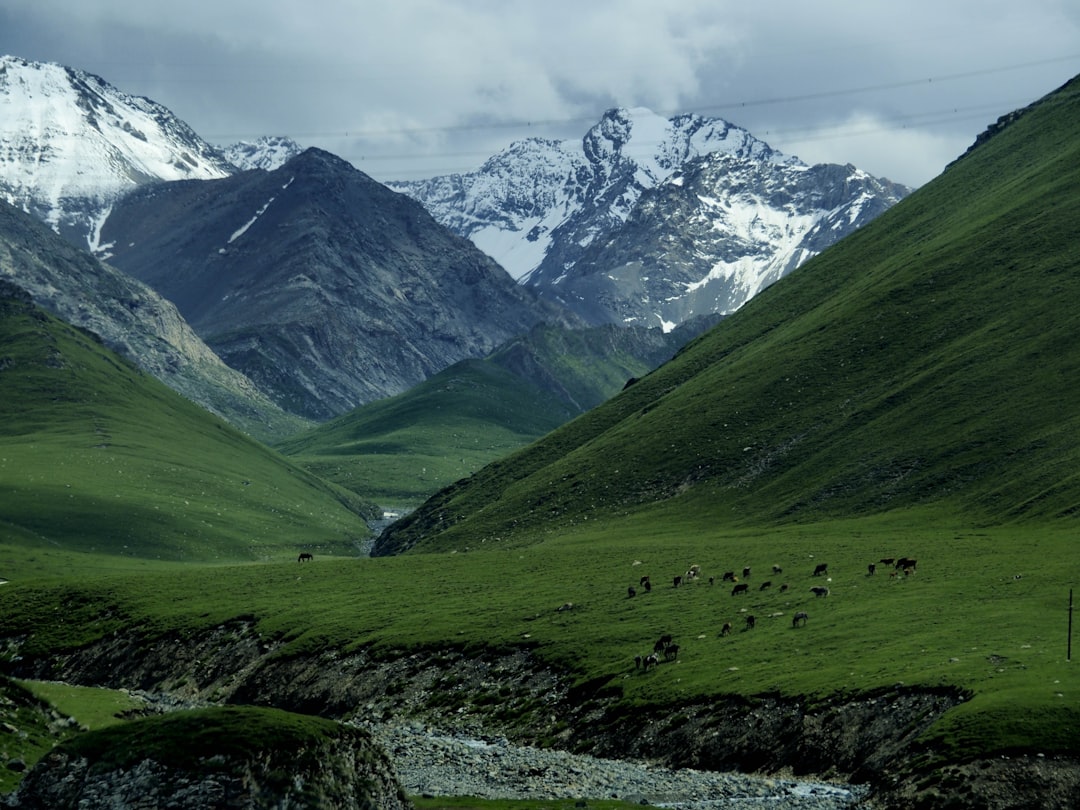 a green valley with mountains in the background