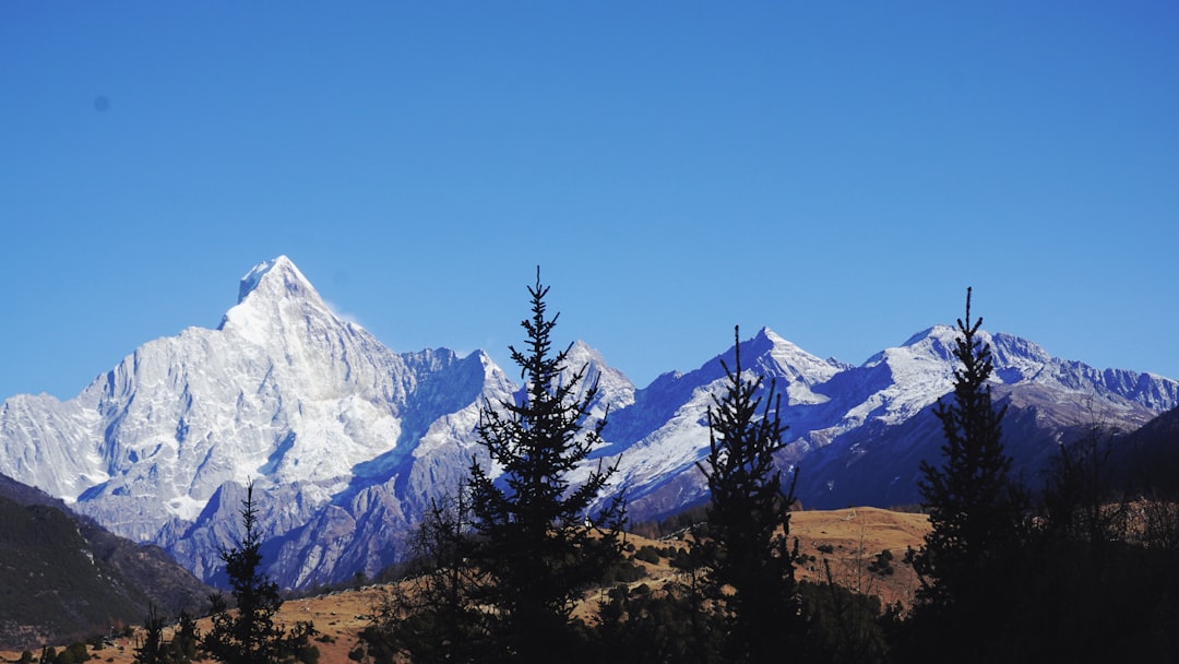 a view of a mountain range with trees in the foreground