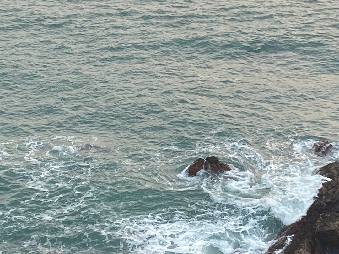 a couple of animals that are in the water