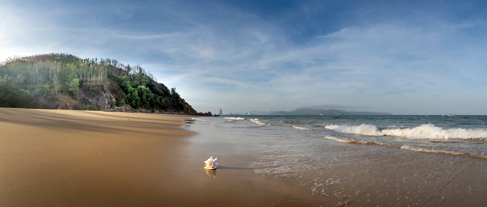 White shell on wet sandy beach washed by foamy sea waves near lush cliff beneath blue sky