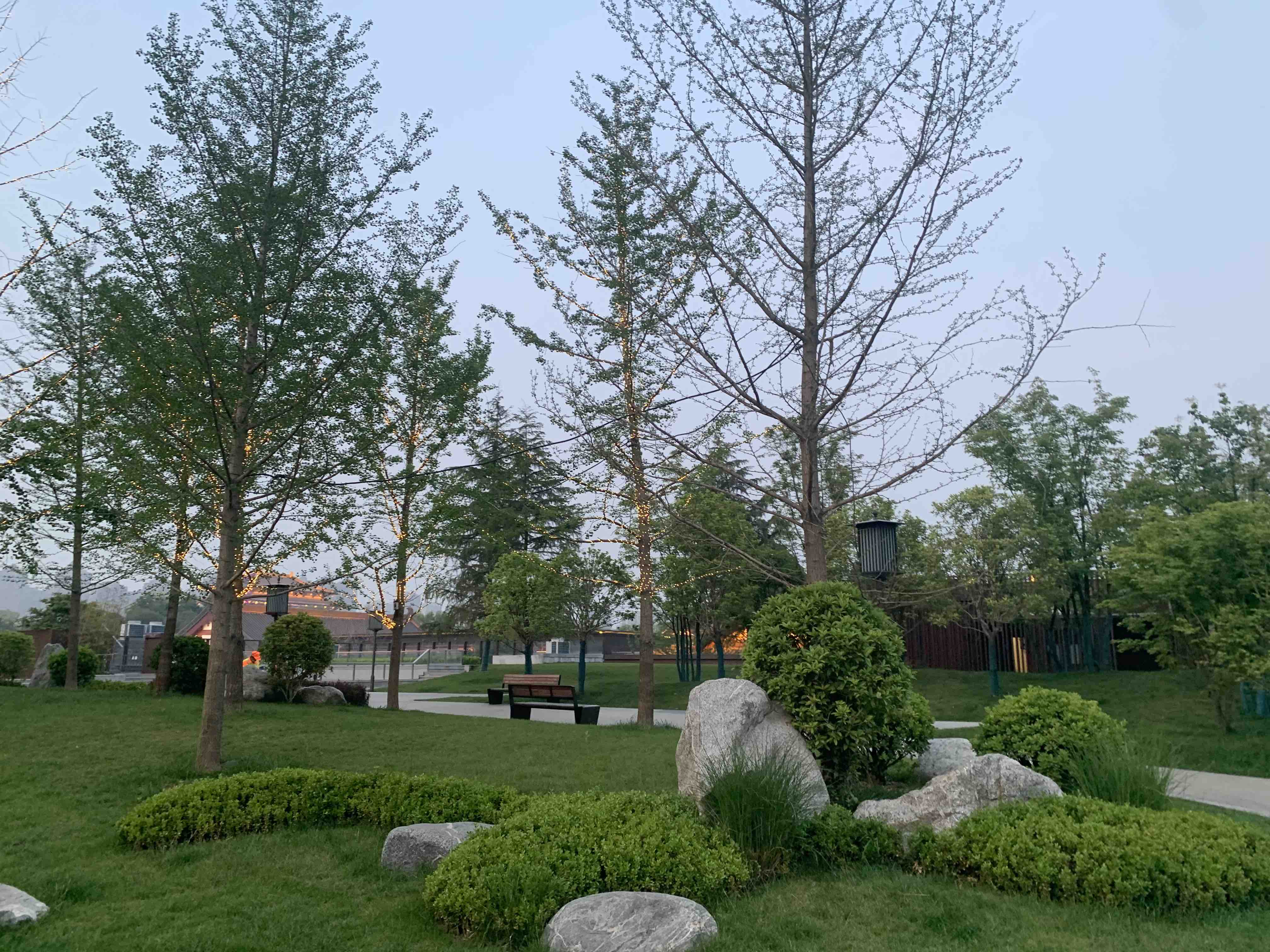 大明宫国家遗址公园 实景照片