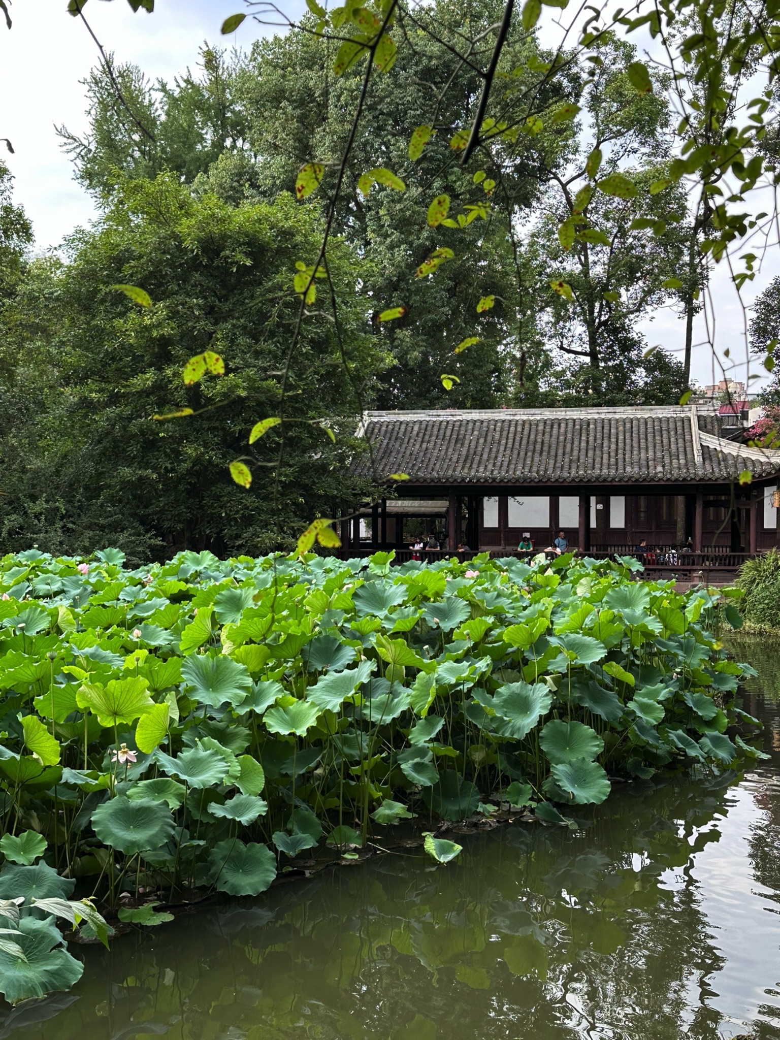 杜甫草堂 实景照片