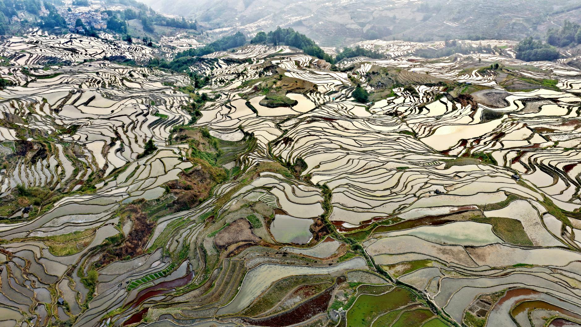 Stunning aerial view of the Yuanyang rice terraces showcasing intricate patterns and natural beauty.