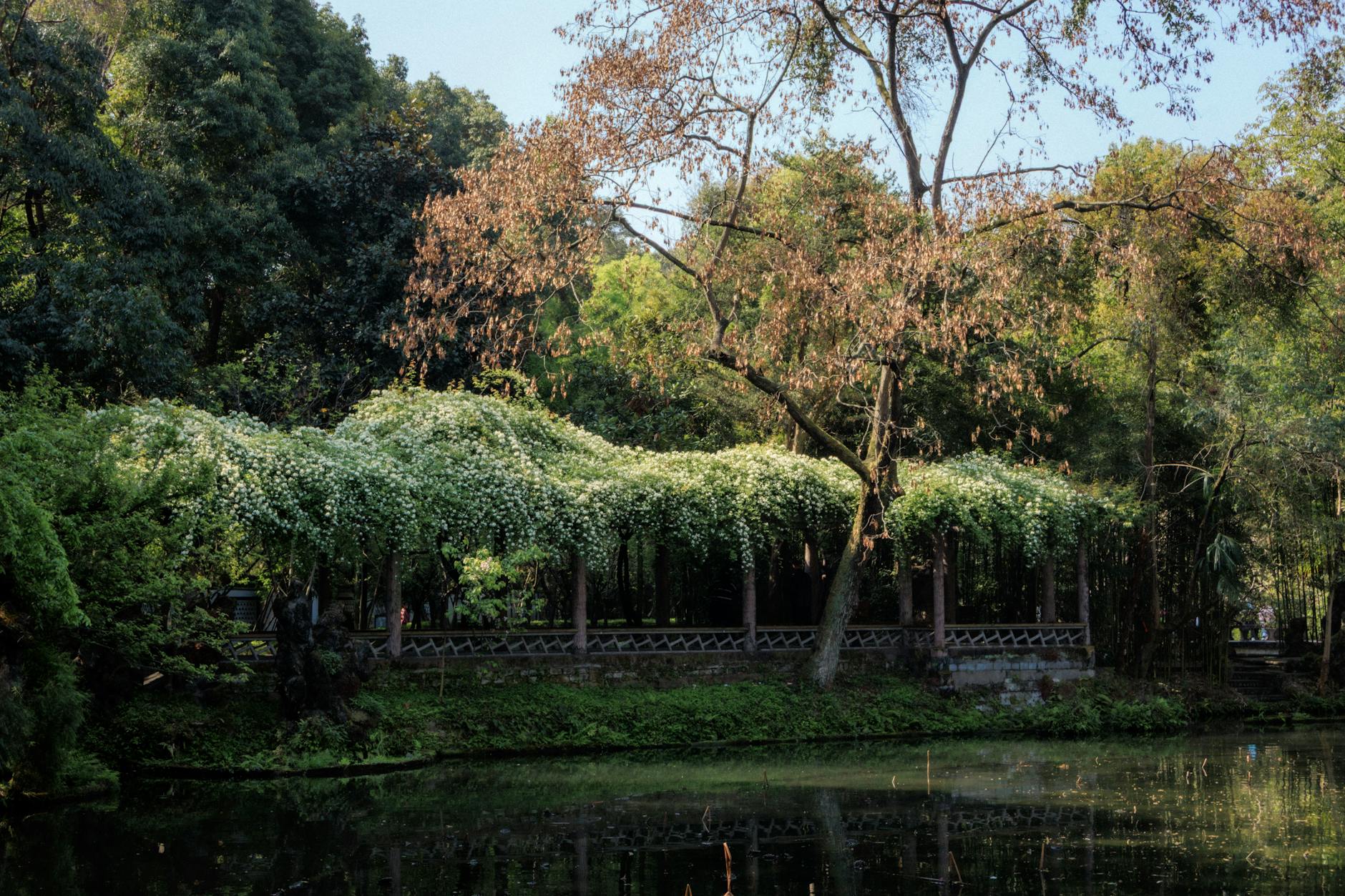 Tranquil scene of a lush garden pavilion surrounded by greenery in Chengdu, China.