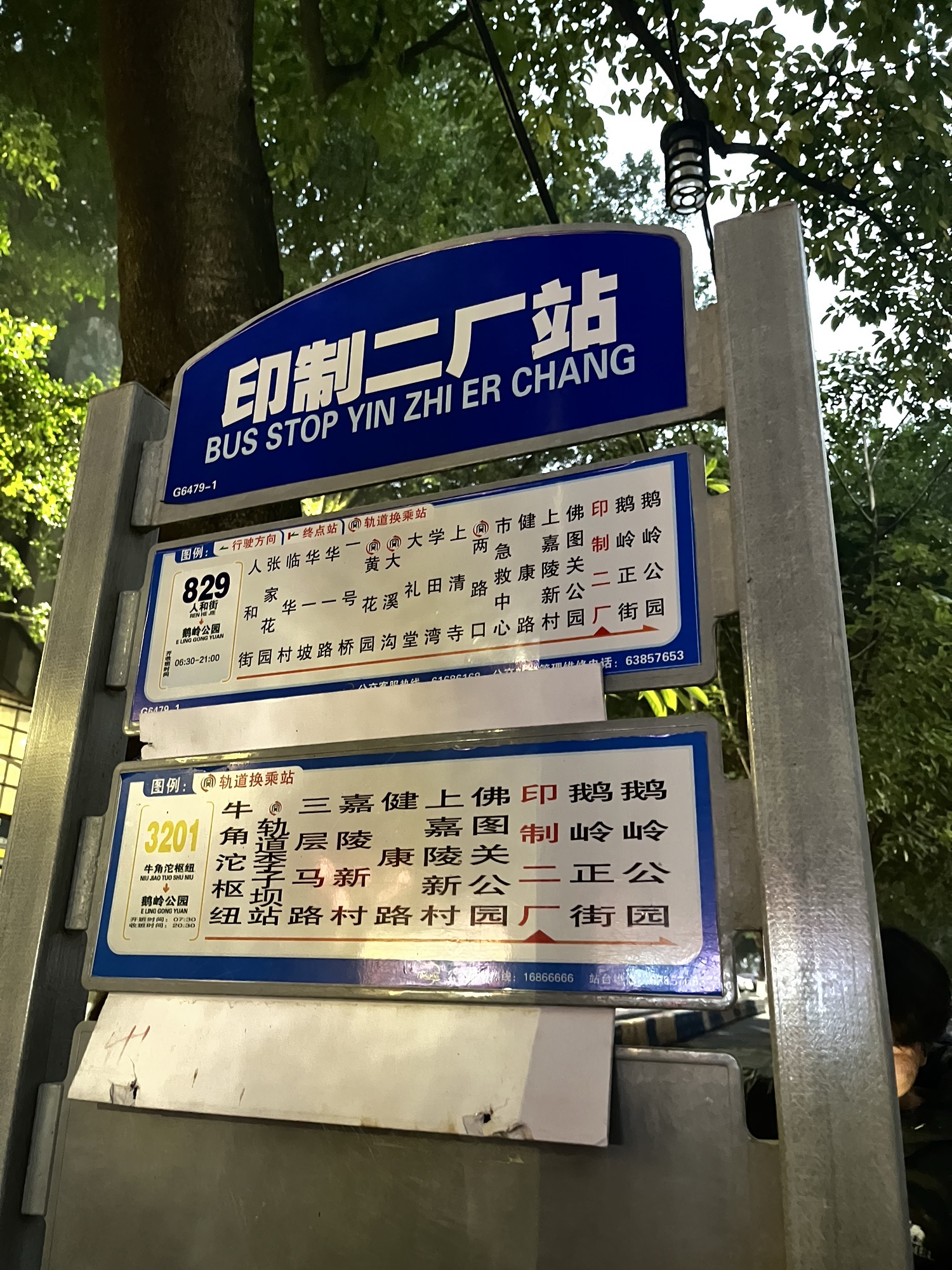 鹅岭二厂 实景照片