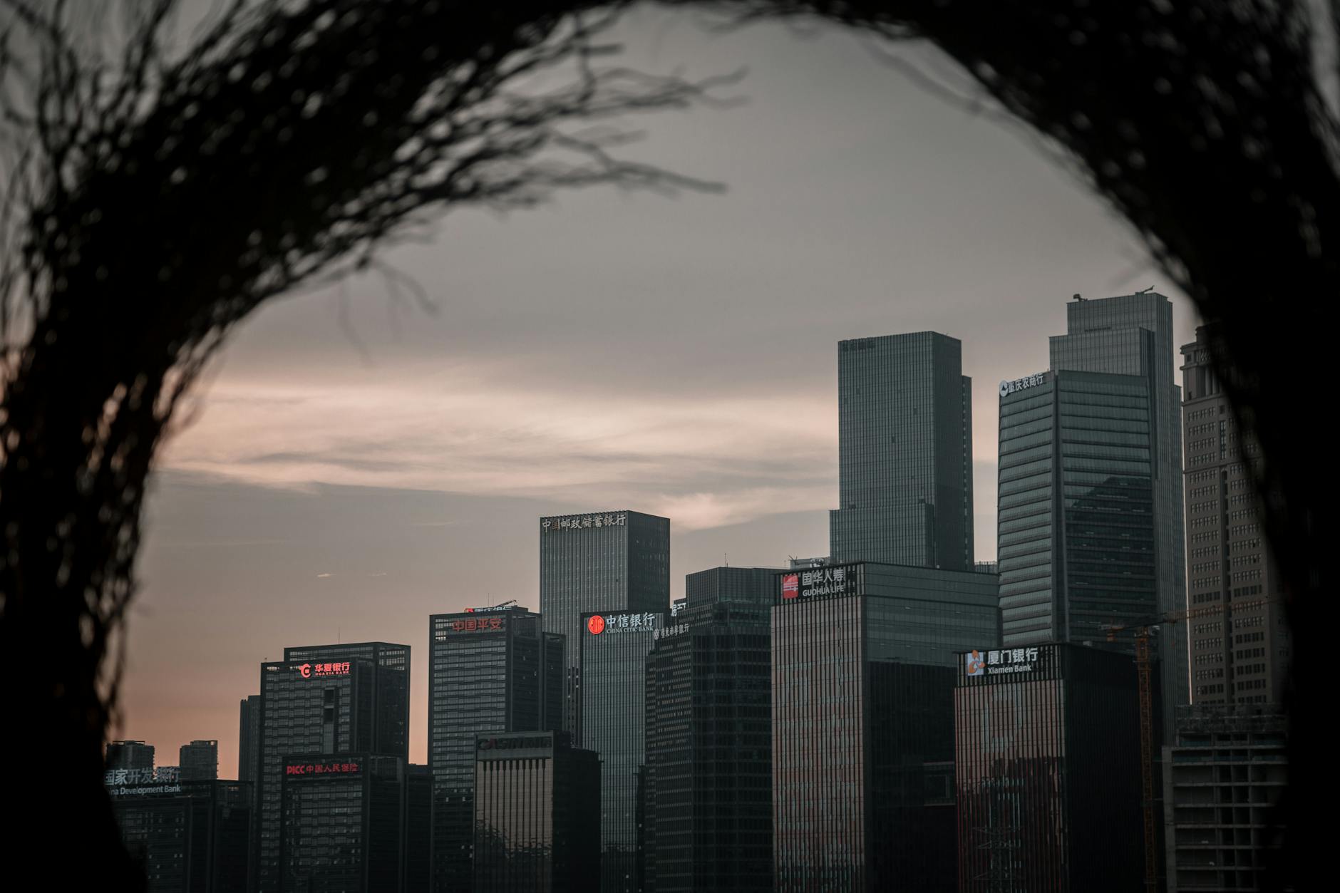 Dramatic skyline of Chongqing with skyscrapers framed through branches at twilight.