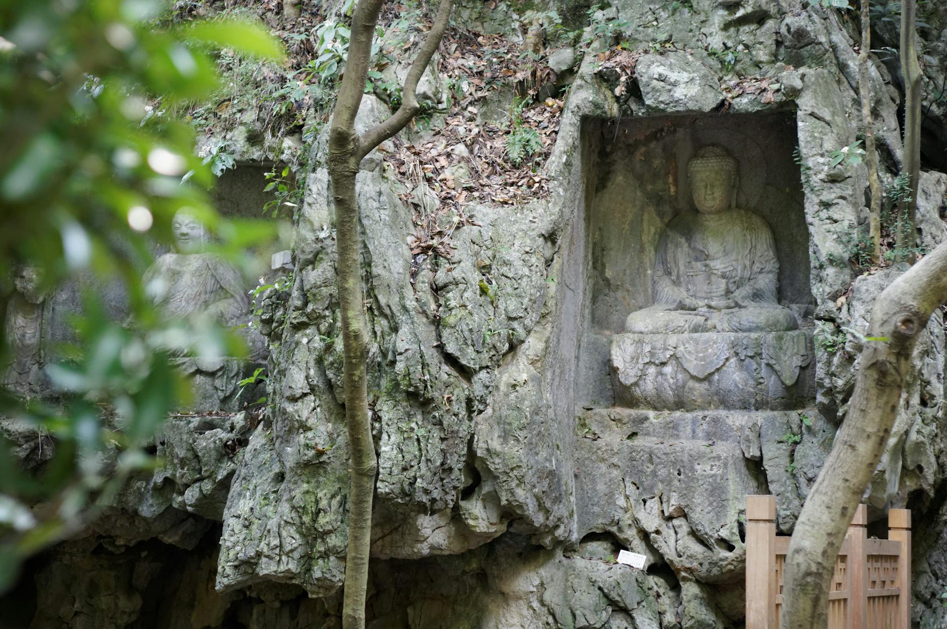Serene Buddha statue carved into a rocky cave surrounded by nature, symbolizing tranquility.