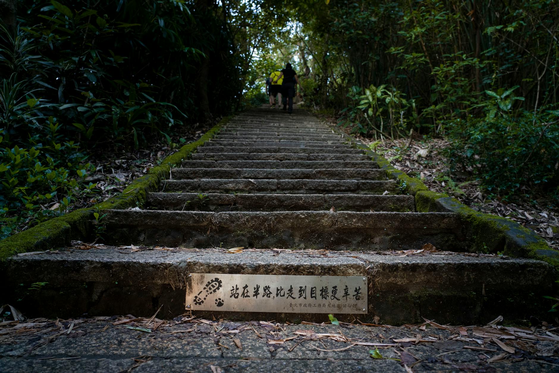Low angle view of a moss-covered stone stairway in a forest with a motivational sign at the bottom.
