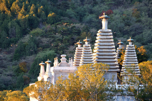 香山公园 实景照片