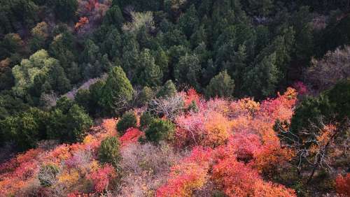 香山公园 实景照片