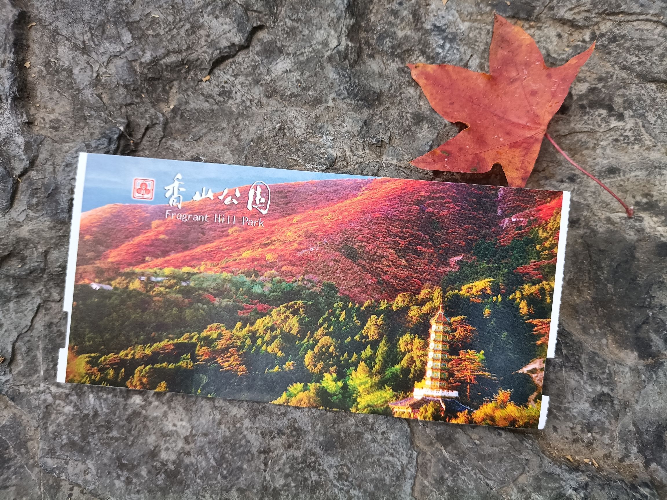 香山公园 实景照片