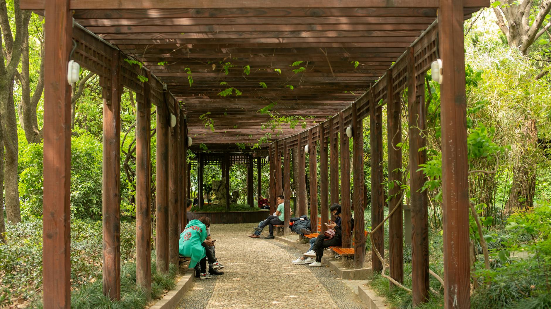 A tranquil scene under a pergola in a Shanghai park with people relaxing.
