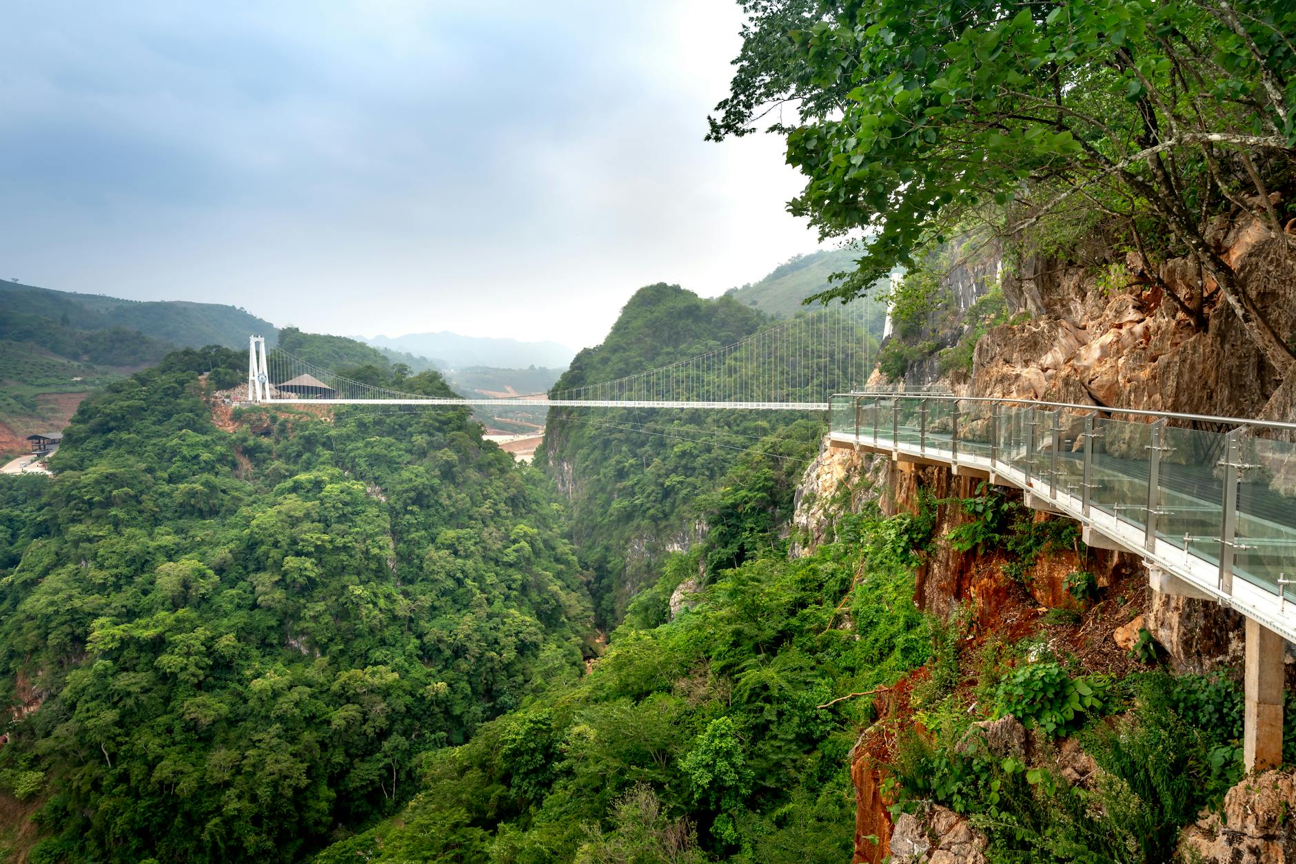 Glass bridge spans a lush mountain valley with cliffs, creating a spectacular view.