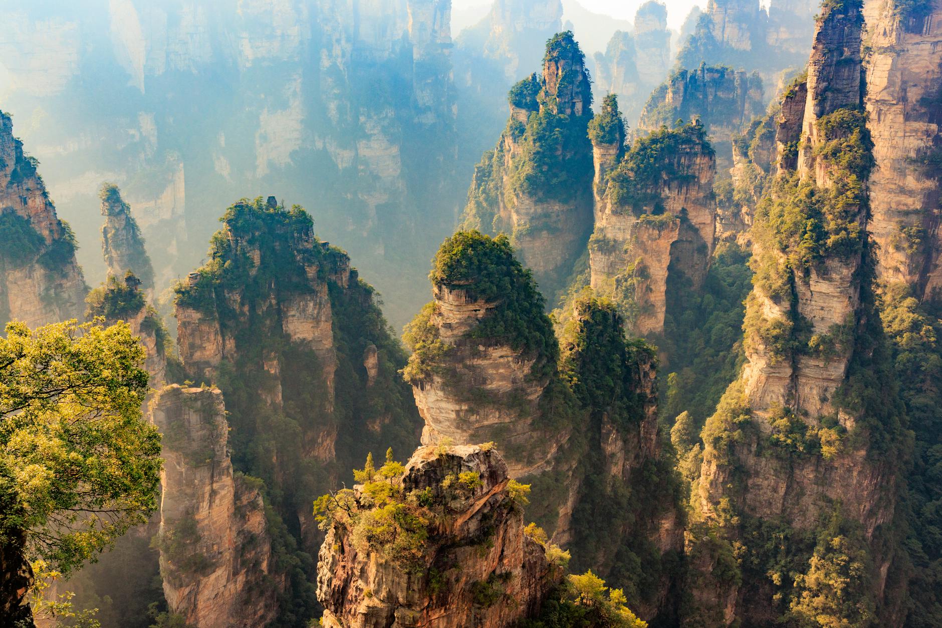 Striking sandstone pillars in Zhangjiajie National Forest Park, China.