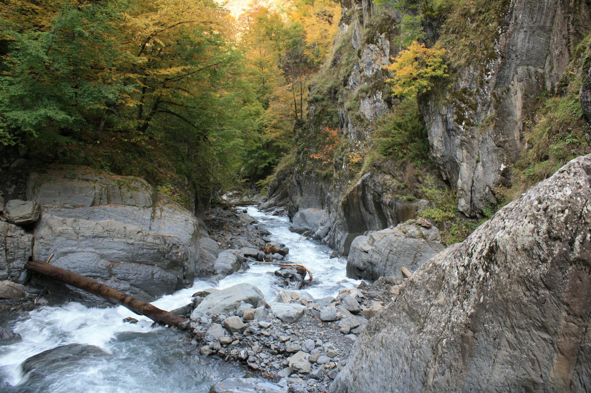 Captivating autumn landscape with a flowing stream in a rocky mountain gorge.