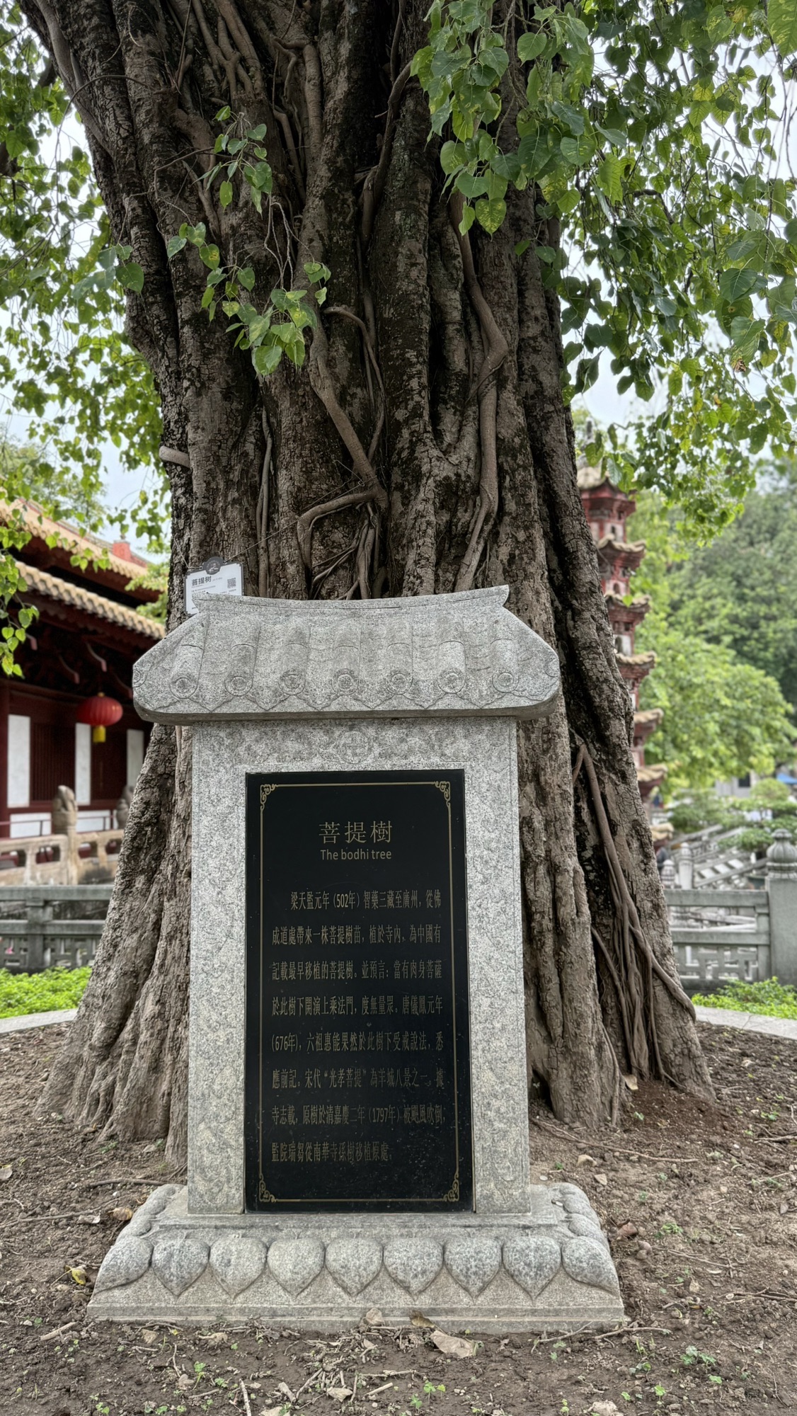光孝寺 实景照片