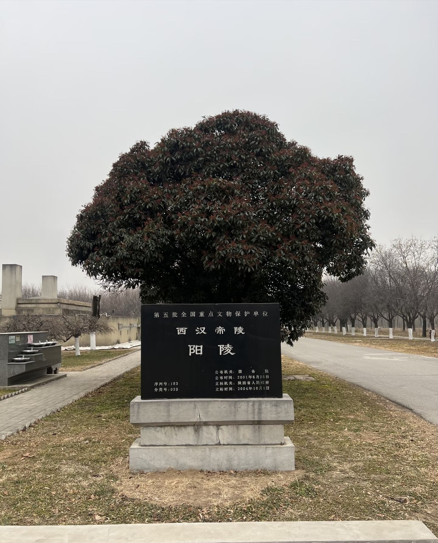 汉阳陵 实景照片