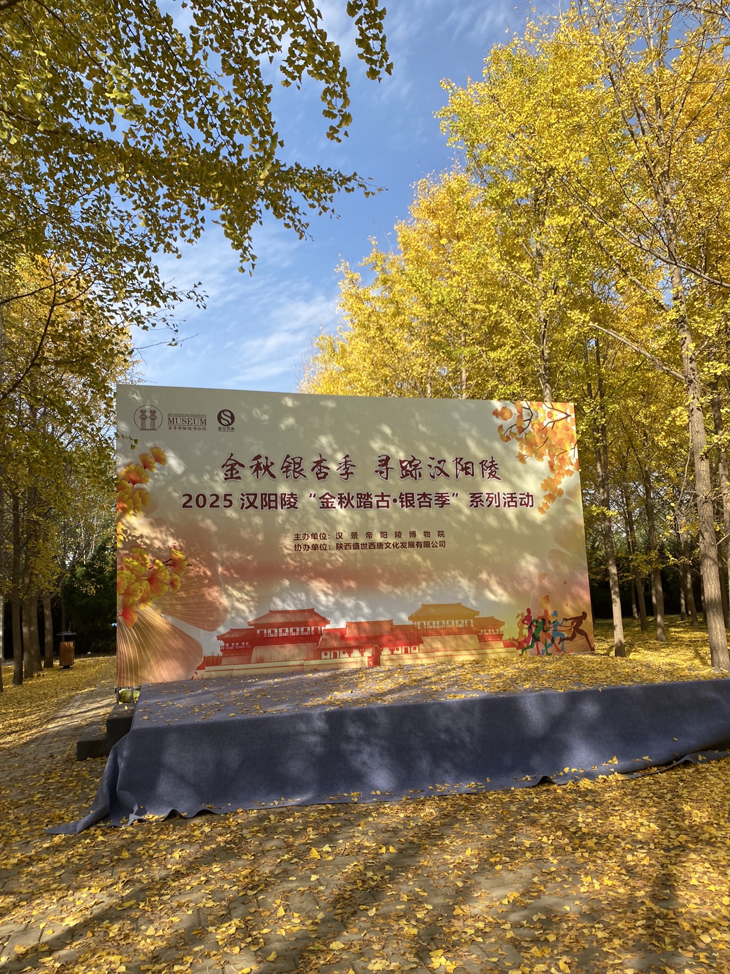 汉阳陵 实景照片