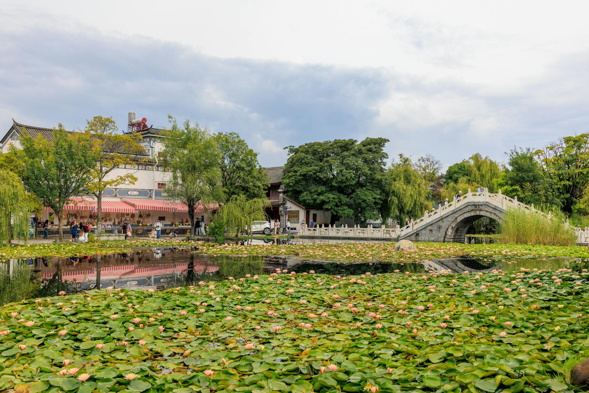 Picturesque lily pond reflecting a traditional arched bridge and building in a calm park setting.