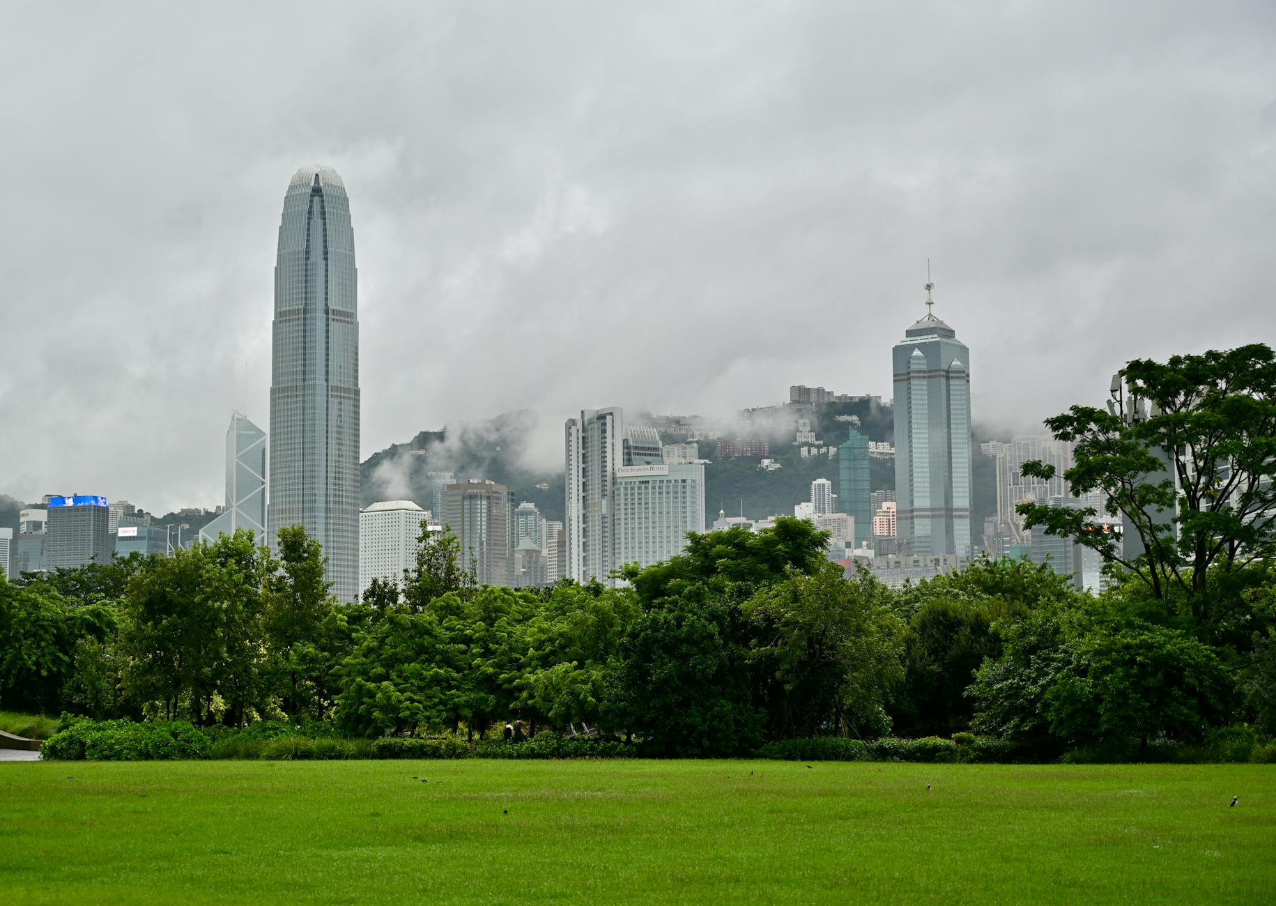 Urban skyline of Hong Kong with lush greenery and cloudy skies, offering a vibrant city view.
