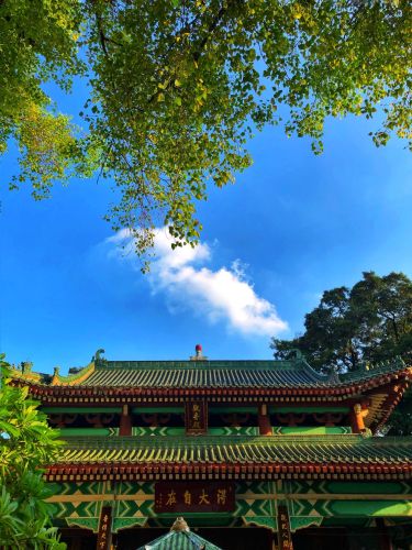 六榕寺 实景照片
