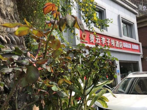 贵云李子坝酒店 — 外观