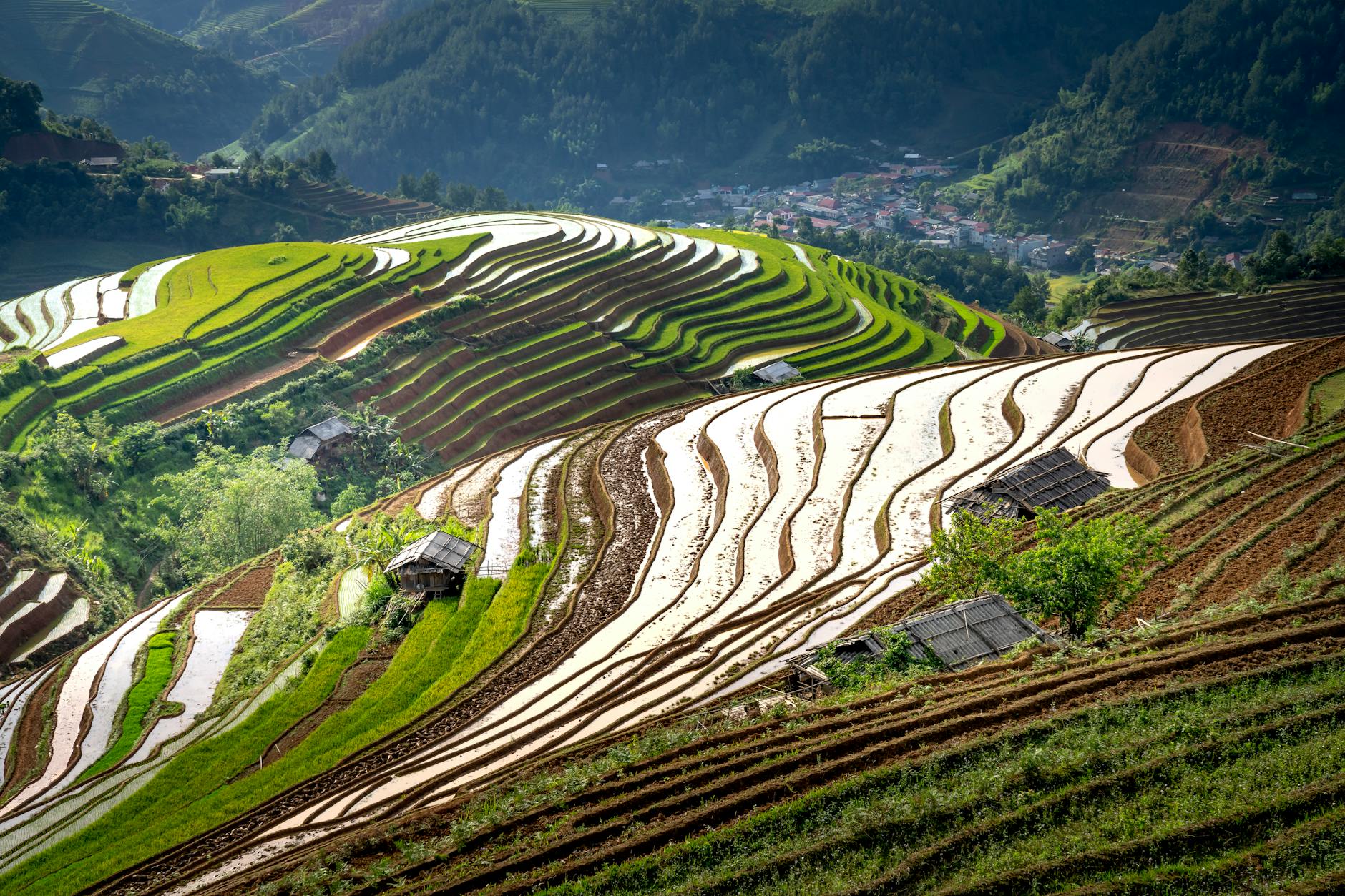Beautiful view of Longji Rice Terraces displaying vibrant patterns and lush greenery.