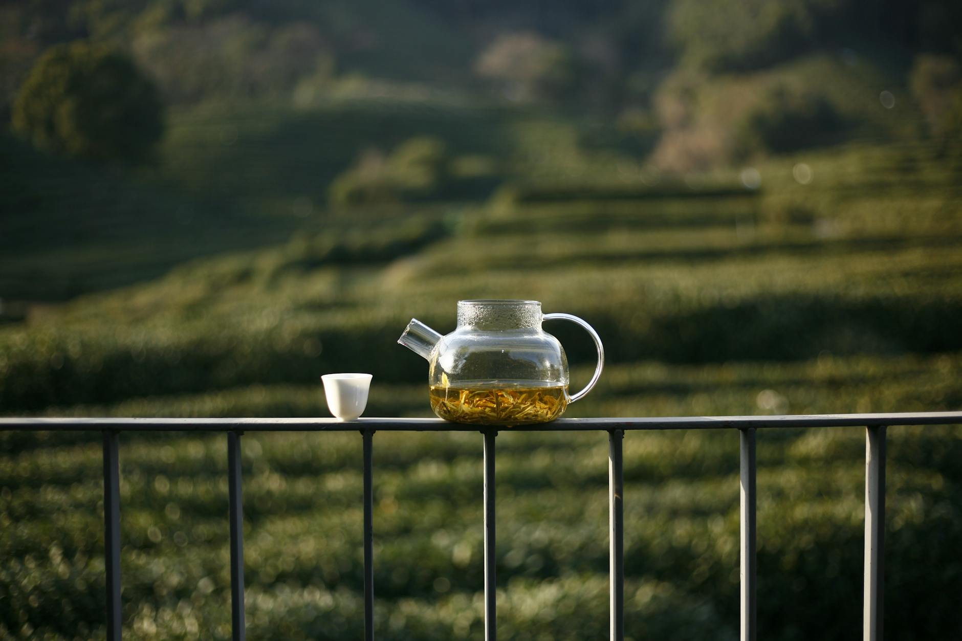 A tranquil scene of a glass teapot and cup on a fence in Hangzhou's lush tea fields.