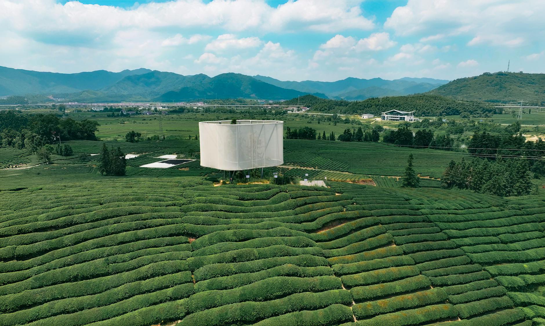 Aerial view of lush green tea plantation on a sunny day with distant mountains.