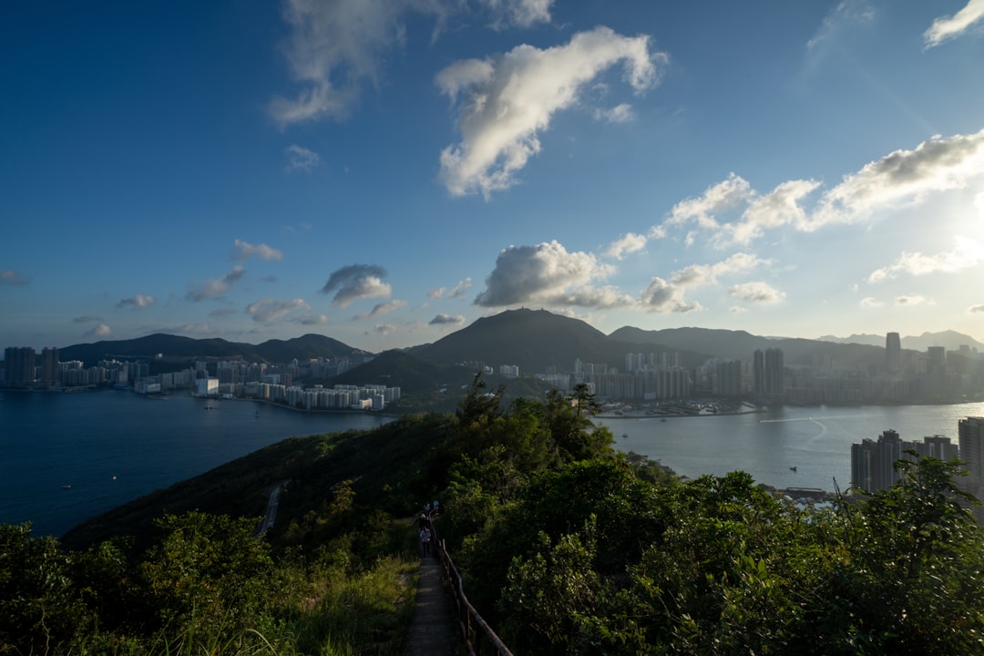 a scenic view of a city and a body of water