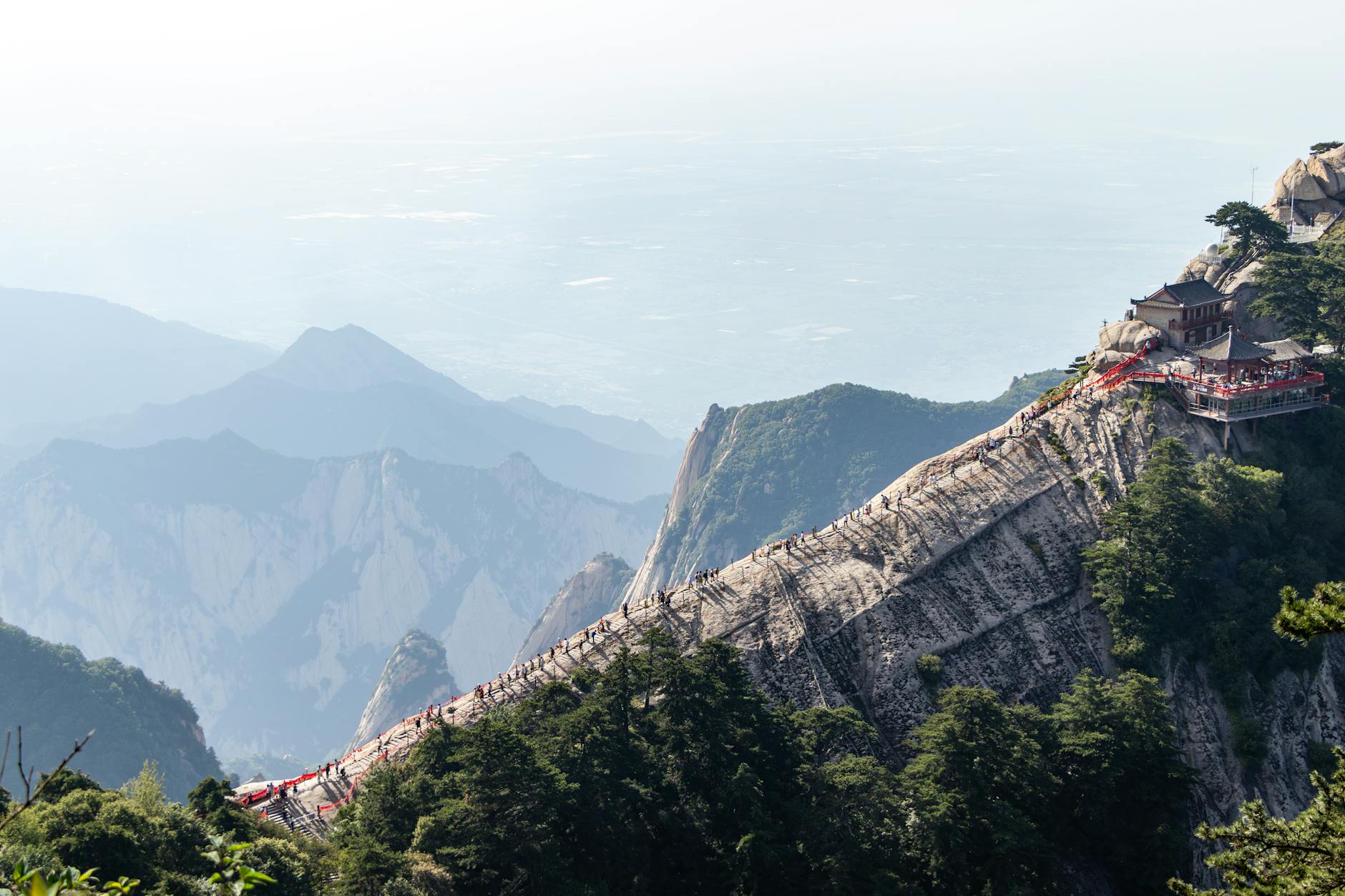 Discover the breathtaking ascent of Mount Hua's famous walkway amidst lush greenery.