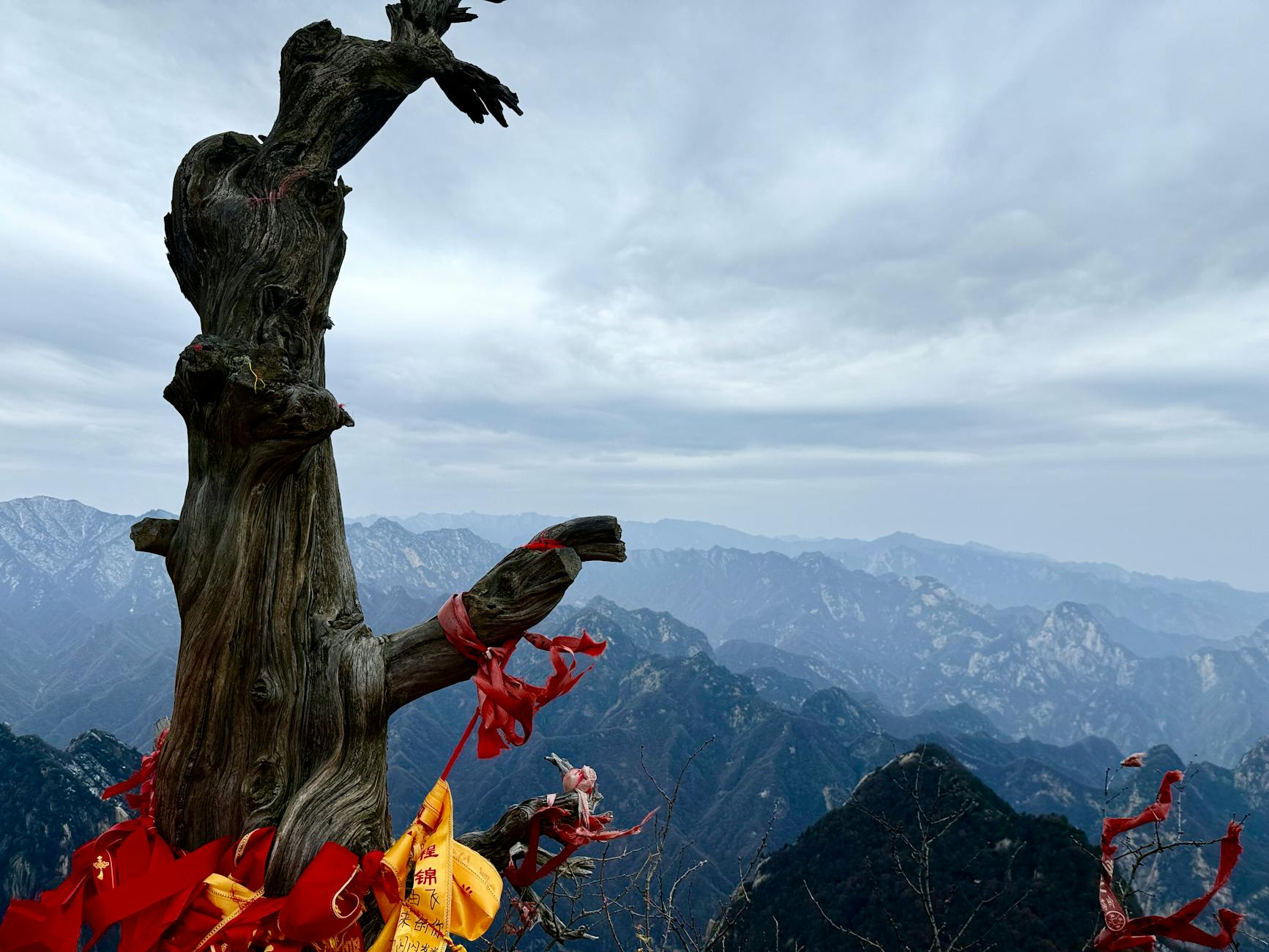 A gnarled tree adorned with red ribbons against the stunning Huashan mountain range under a cloudy sky.