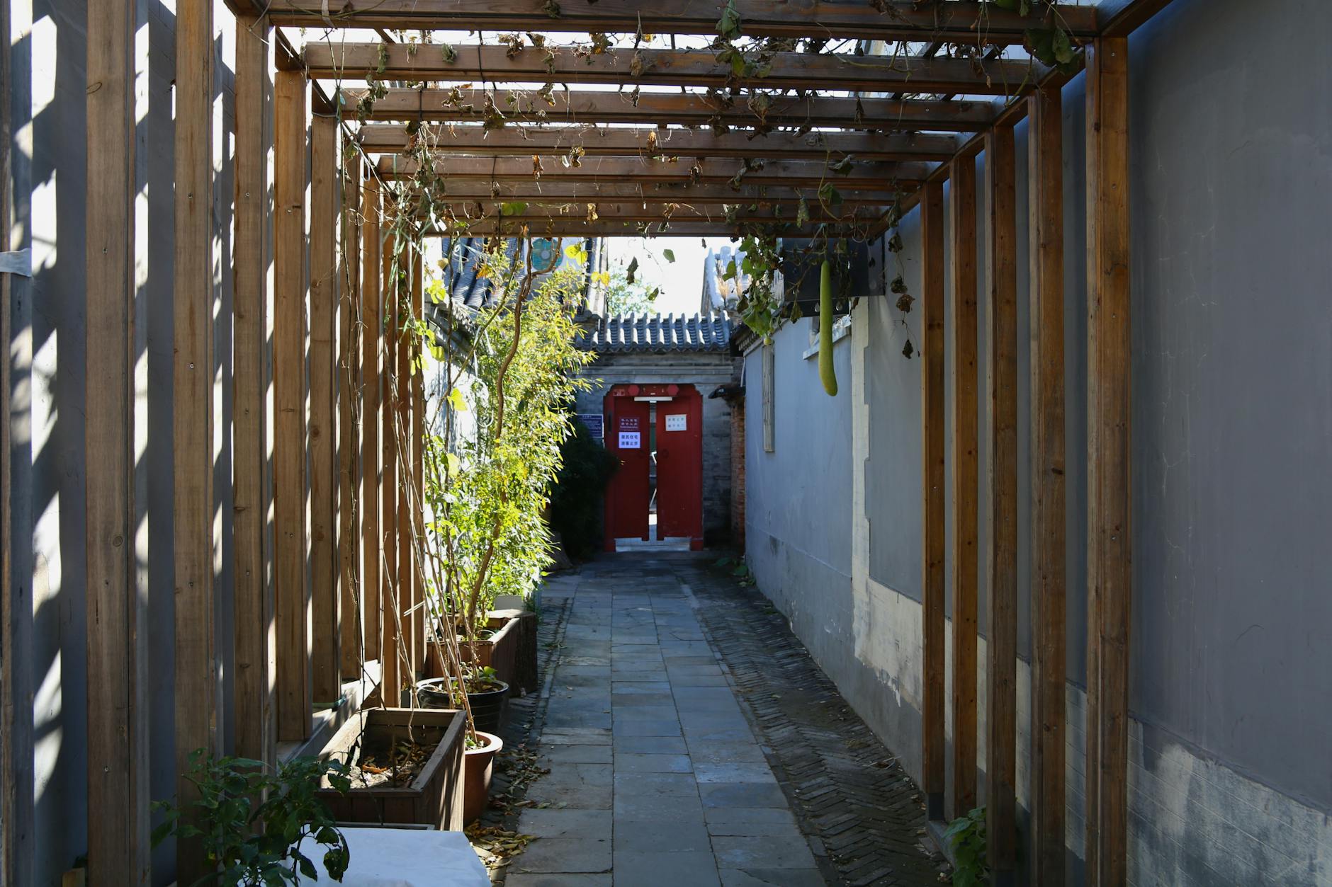 A narrow alley in Beijing's hutongs with red doors and wooden trellis casting shadows, symbolizing traditional Chinese architecture.