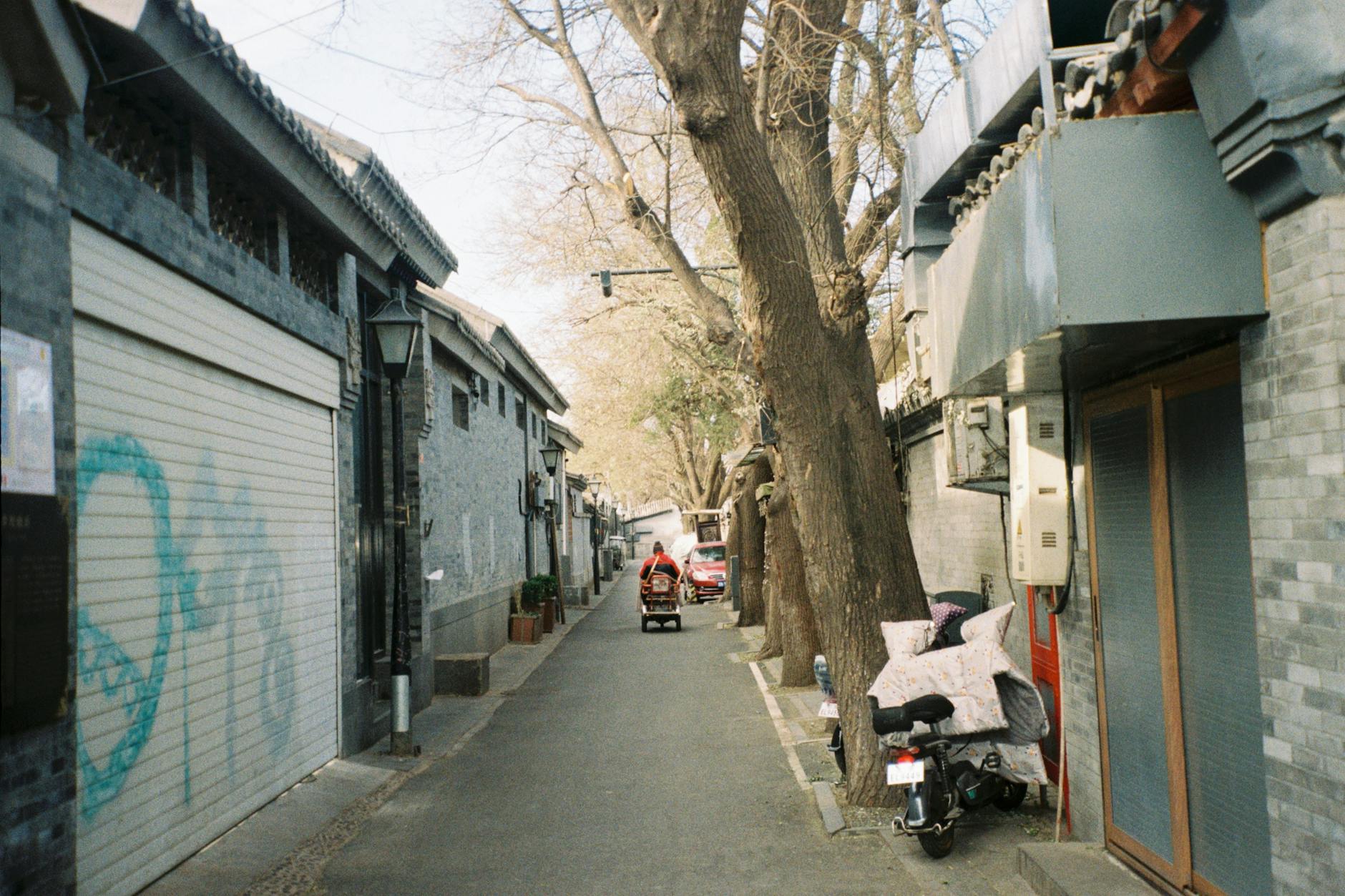 A picturesque alleyway in Beijing with trees, graffiti, and a parked scooter